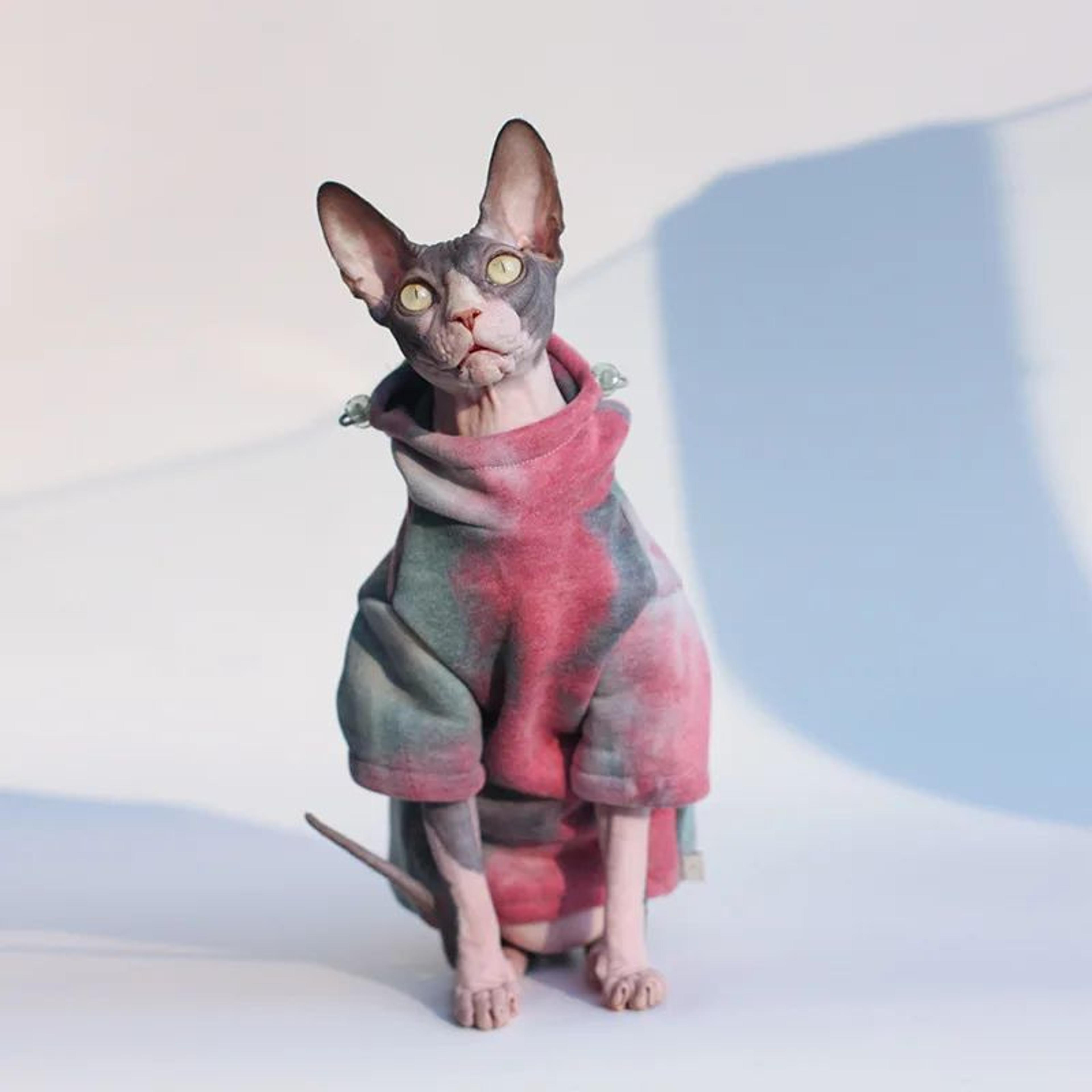Sphynx  Devon Rex Fleece Hoodie  Warm Hairless Cat Clothes For Autumn  Winter 1