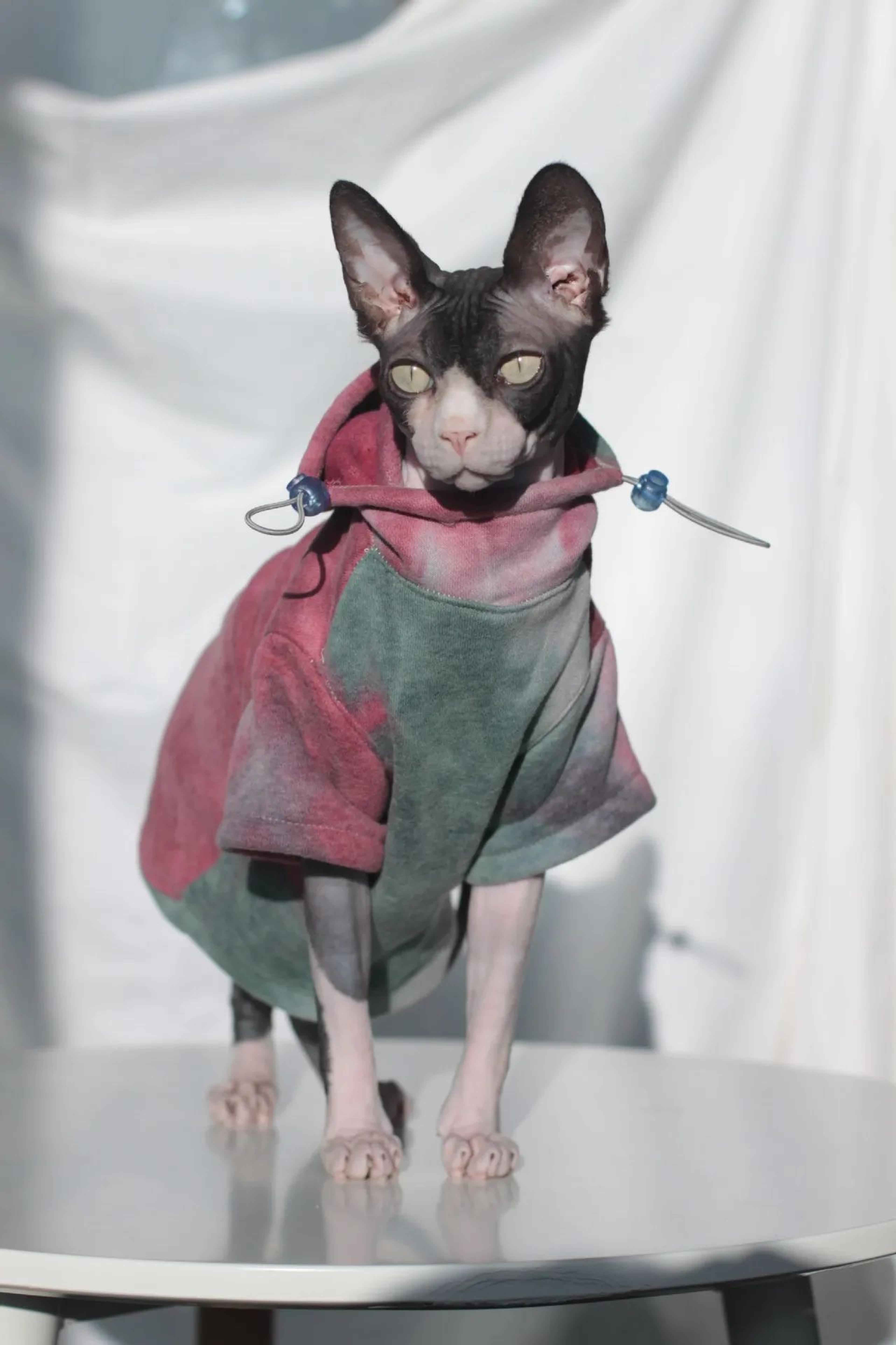 Sphynx  Devon Rex Fleece Hoodie  Warm Hairless Cat Clothes For Autumn  Winter 2