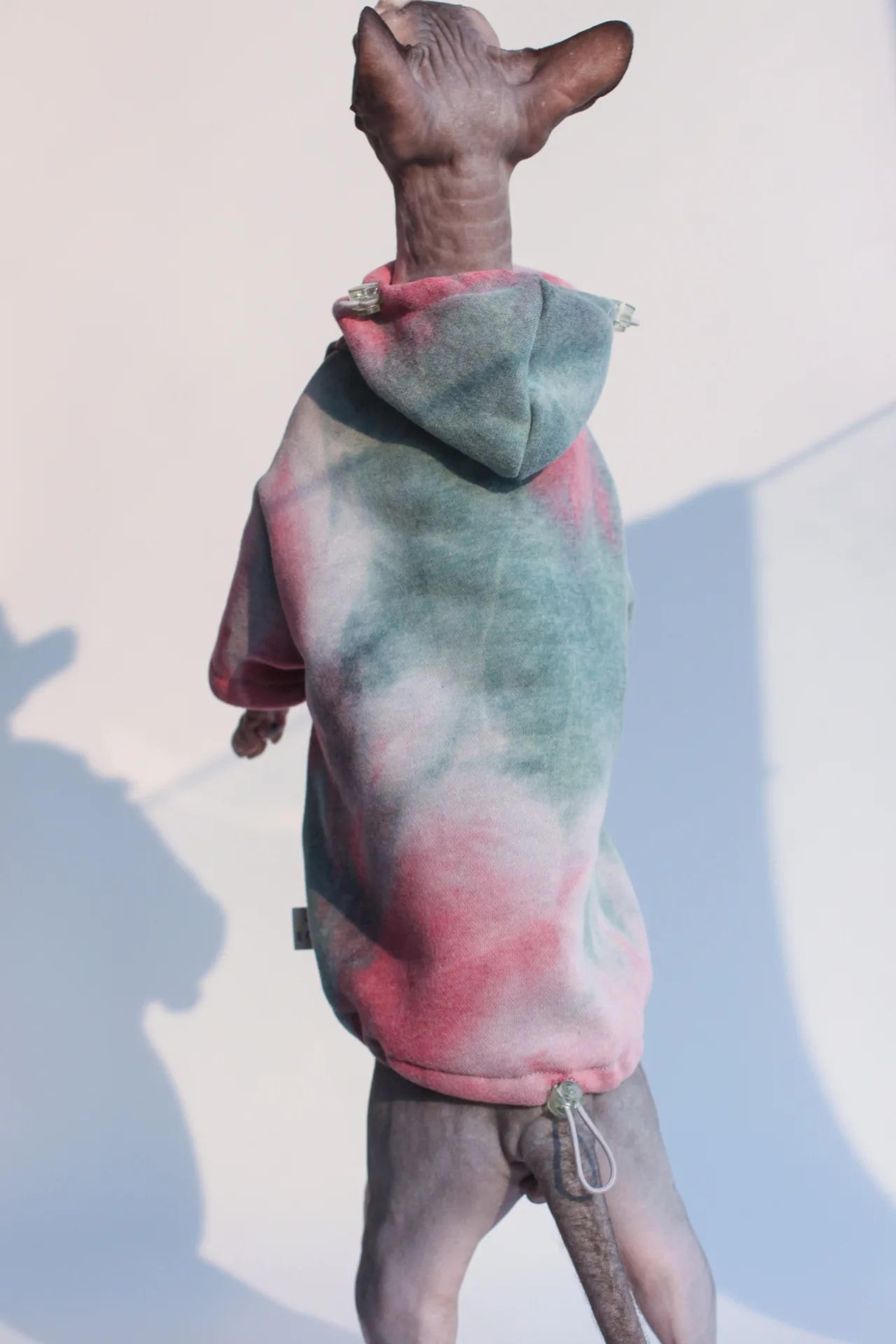 Sphynx  Devon Rex Fleece Hoodie  Warm Hairless Cat Clothes For Autumn  Winter 4