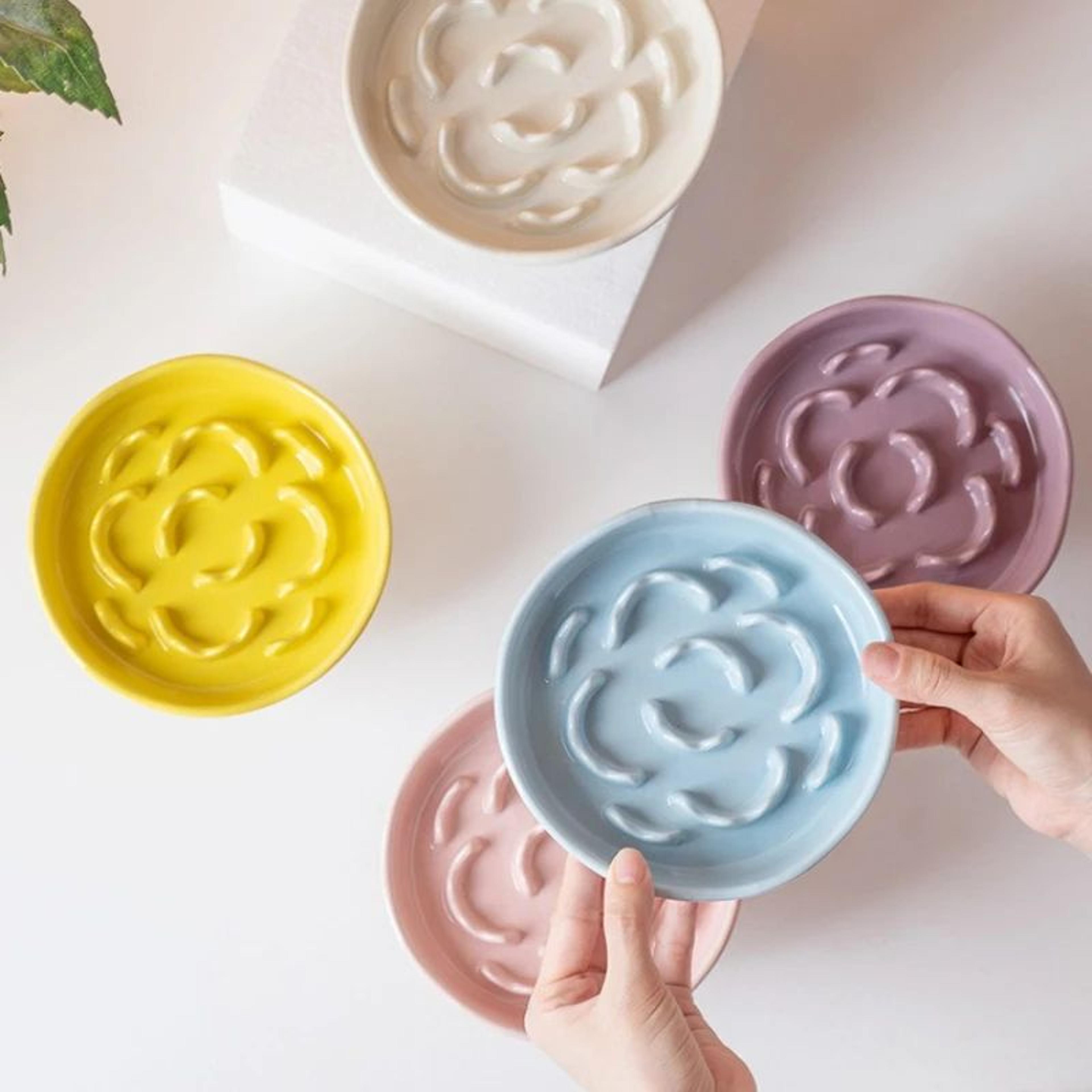 Elevated Ceramic Slow Feeder Pet Bowl For Cats  Small Dogs 0