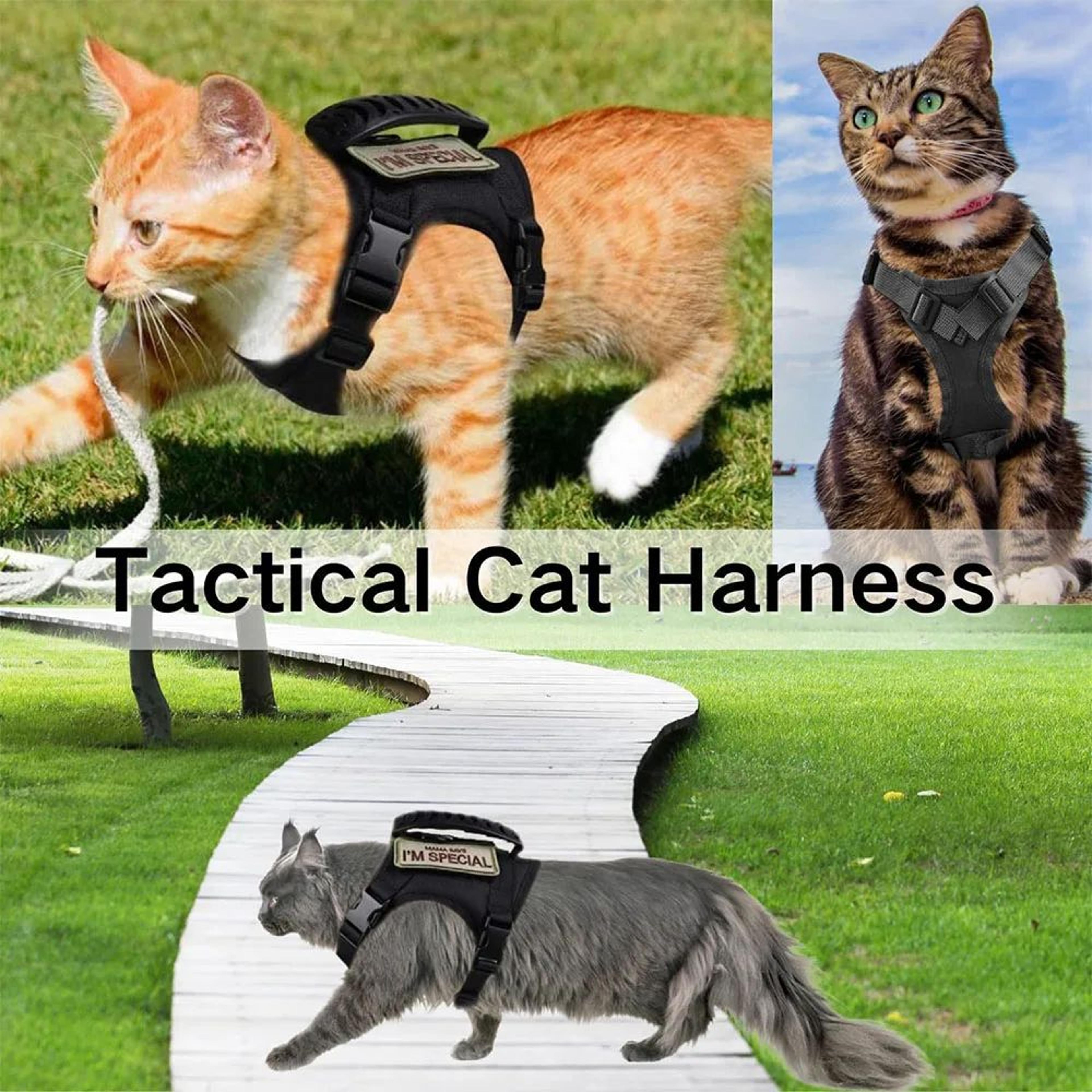 TactiPaw EscapeProof Pet Harness  Leash Set For Cats And Small Dogs 4