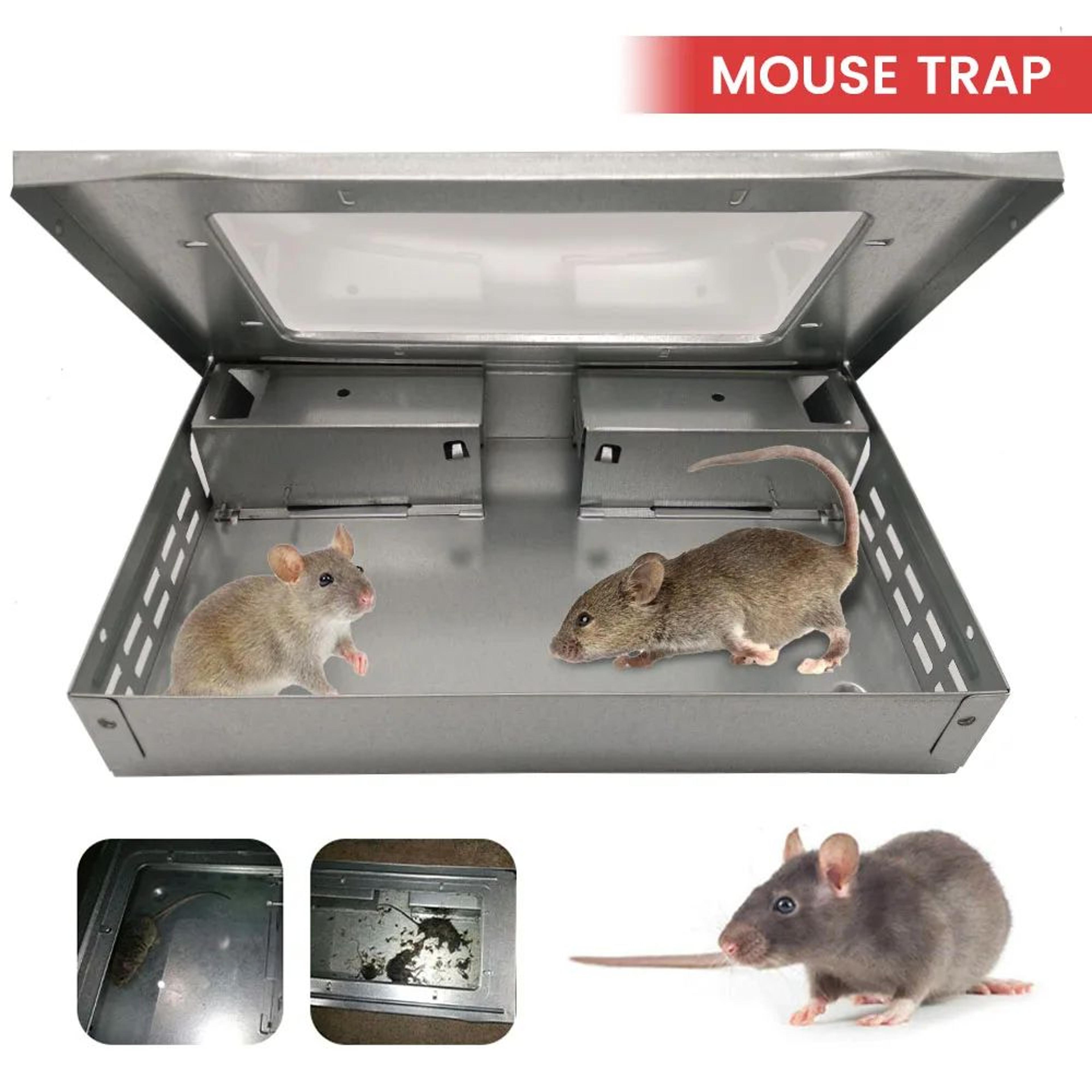 SafeGuard Humane Mouse Trap Reusable Rodent Catcher With Protective Cover 1