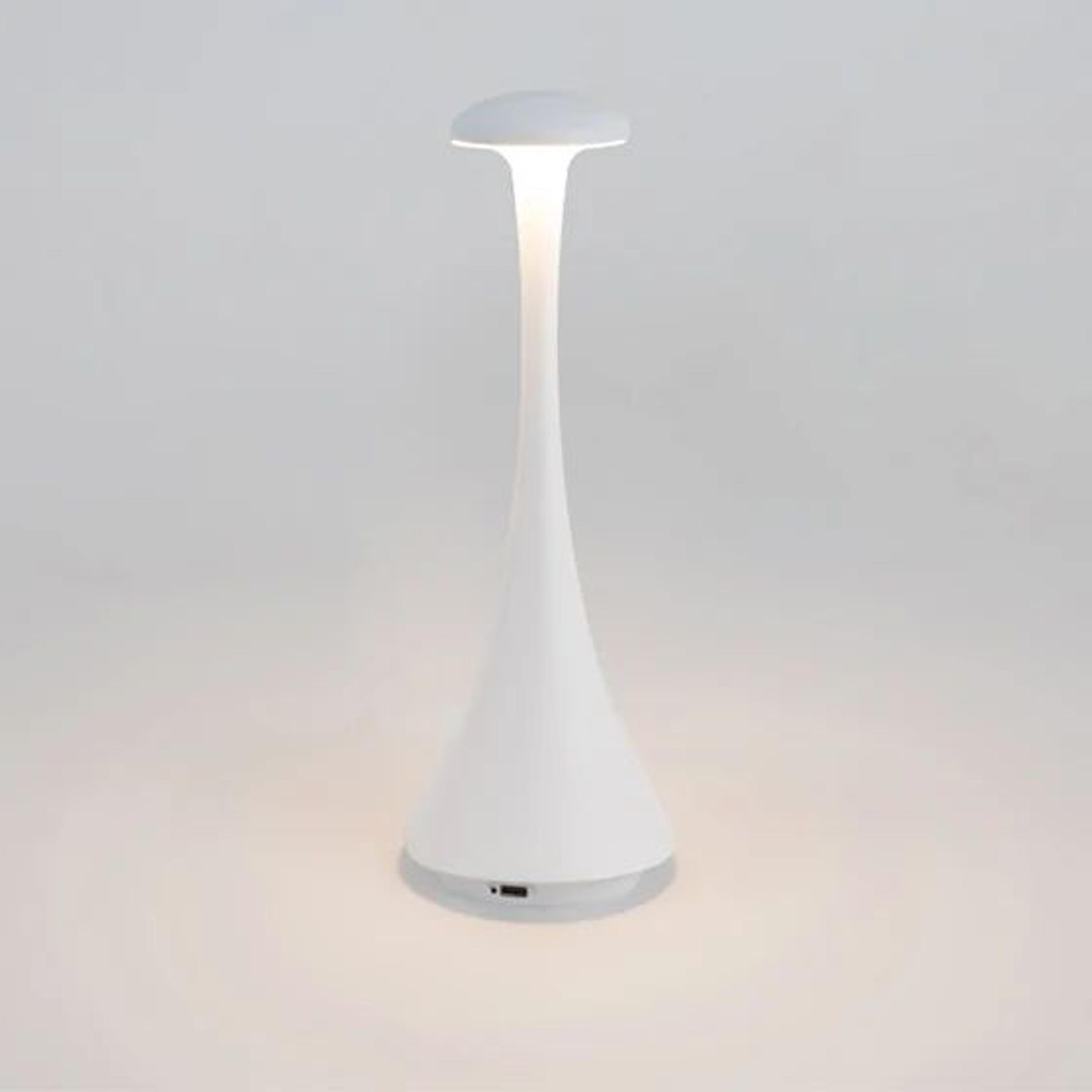 Rechargeable Mushroom Table Lamp USBC Touch Cordless LED Bedside Light 7