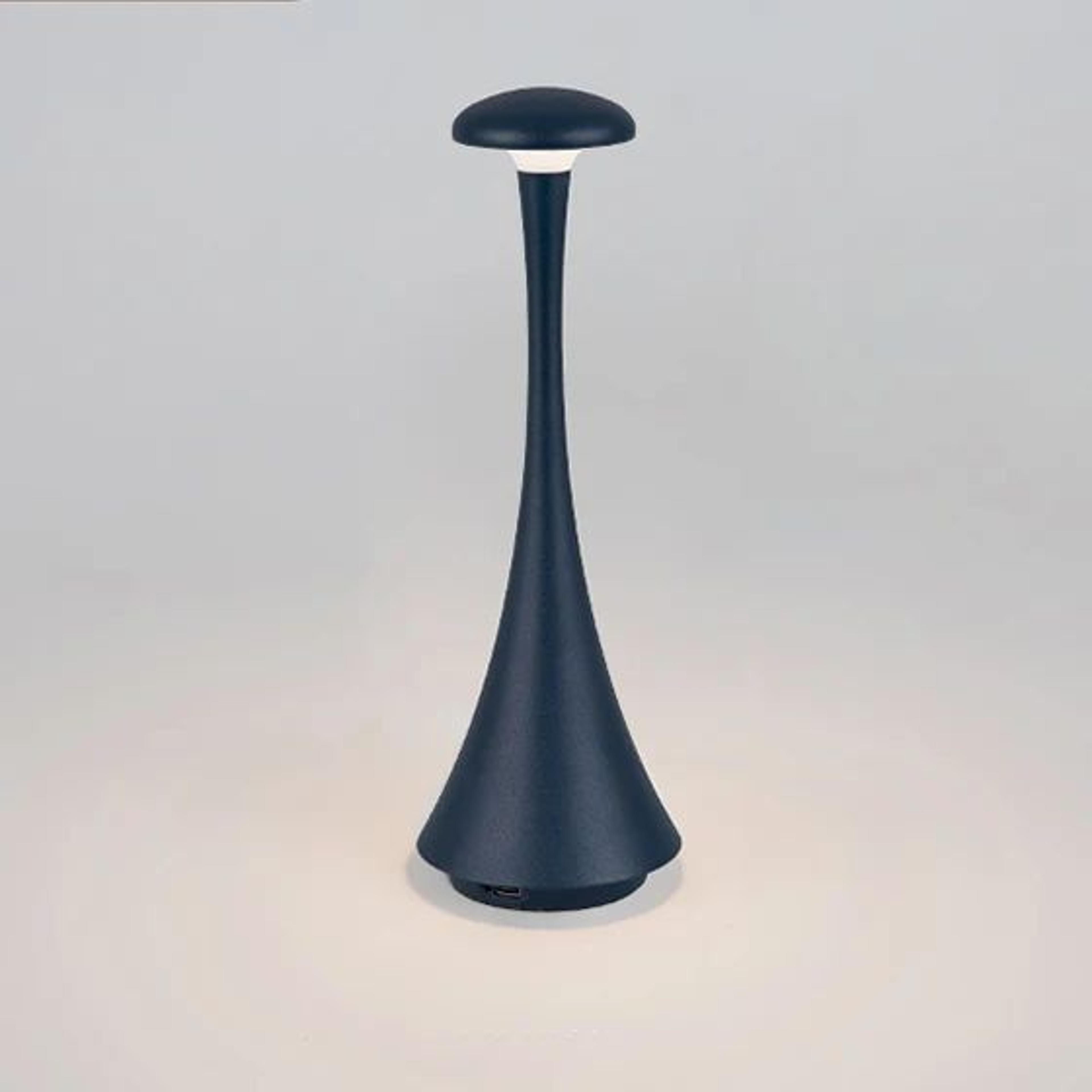 Rechargeable Mushroom Table Lamp USBC Touch Cordless LED Bedside Light 15