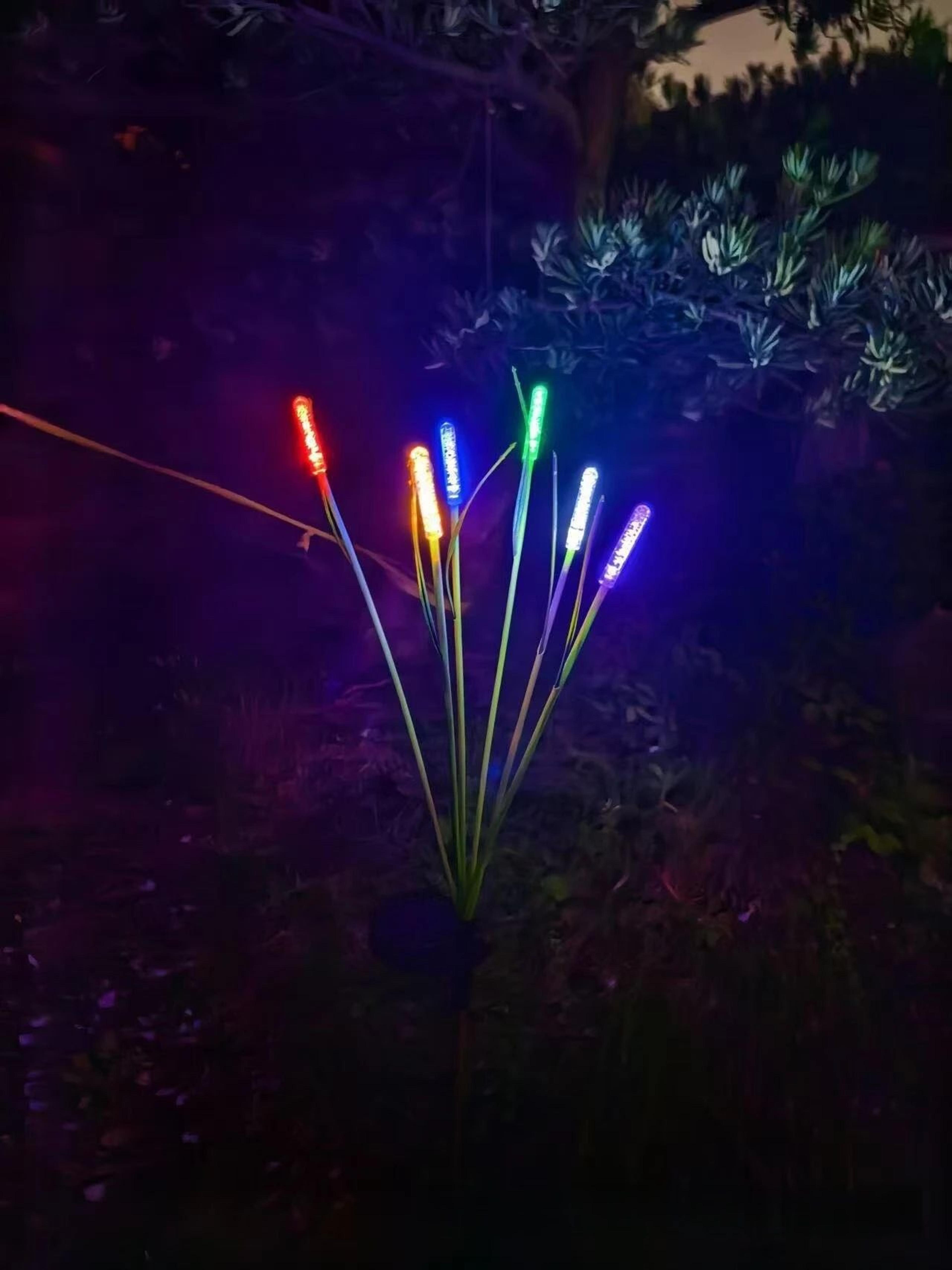 Solar Reed Glow Lights  Solar Garden Lights For Pathways Ponds  Patios 3