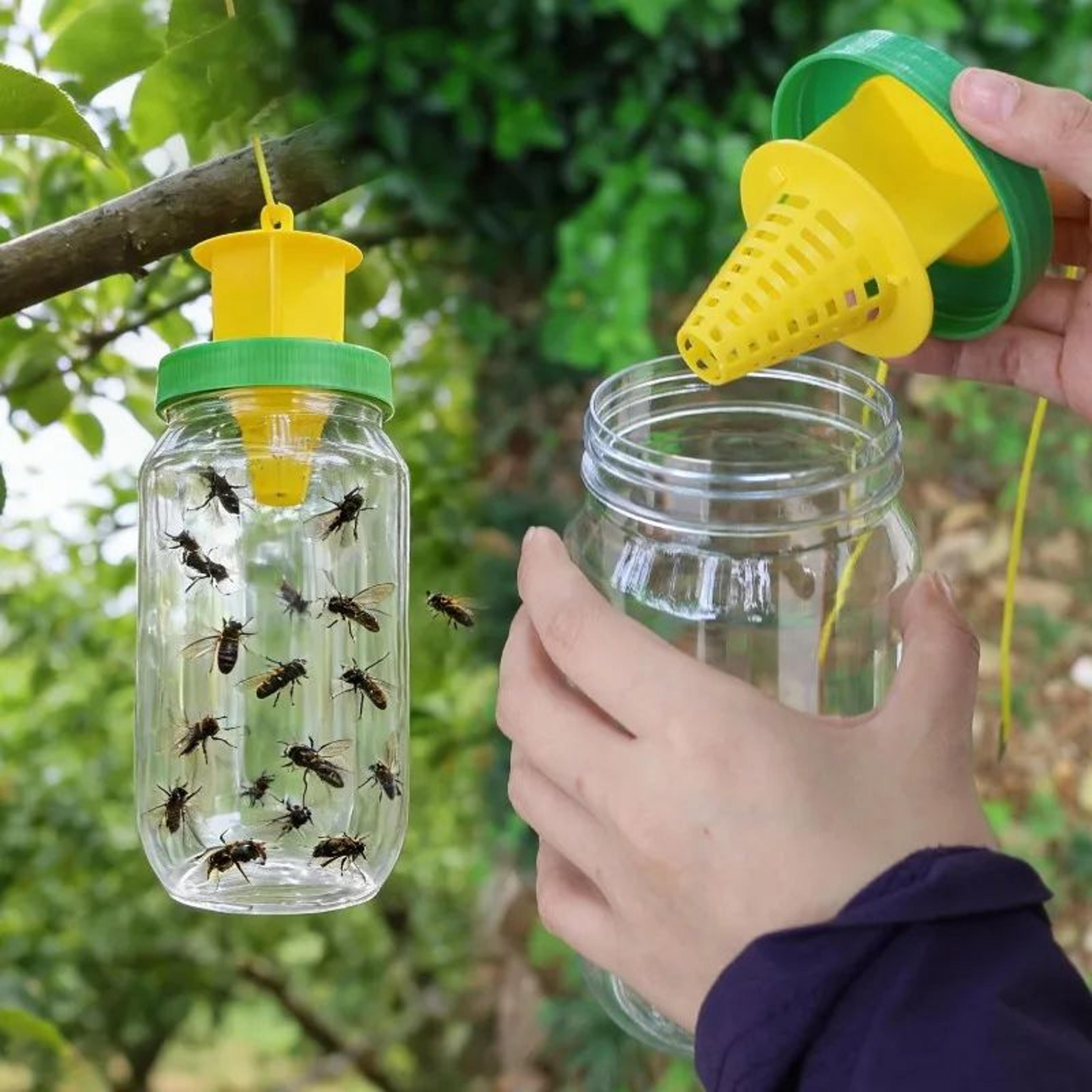 GardenGuard Reusable Fruit Fly Trap With Hanging Bait Catcher 1