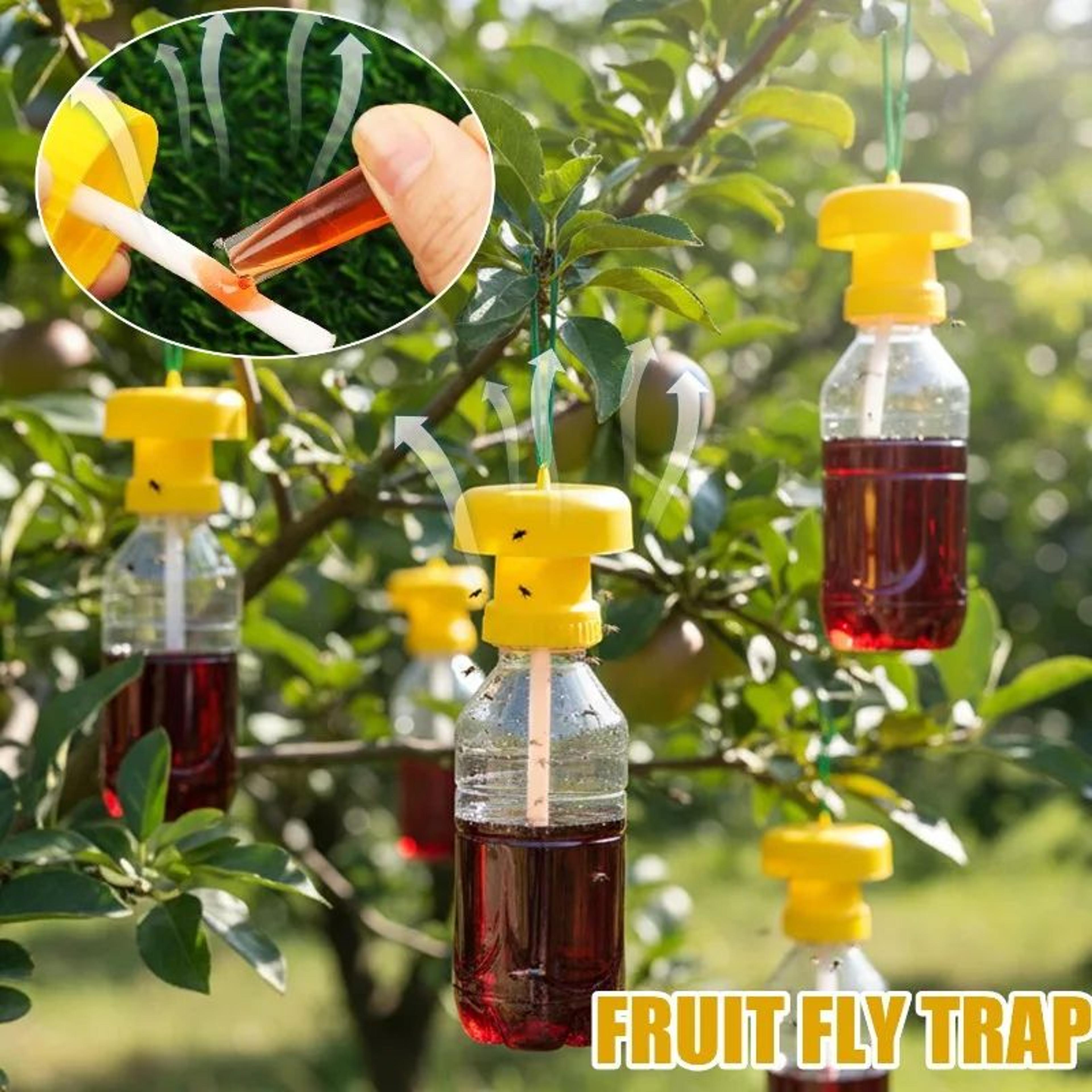 GardenGuard Reusable Fruit Fly Trap For Orchard  Garden Pest Control 1