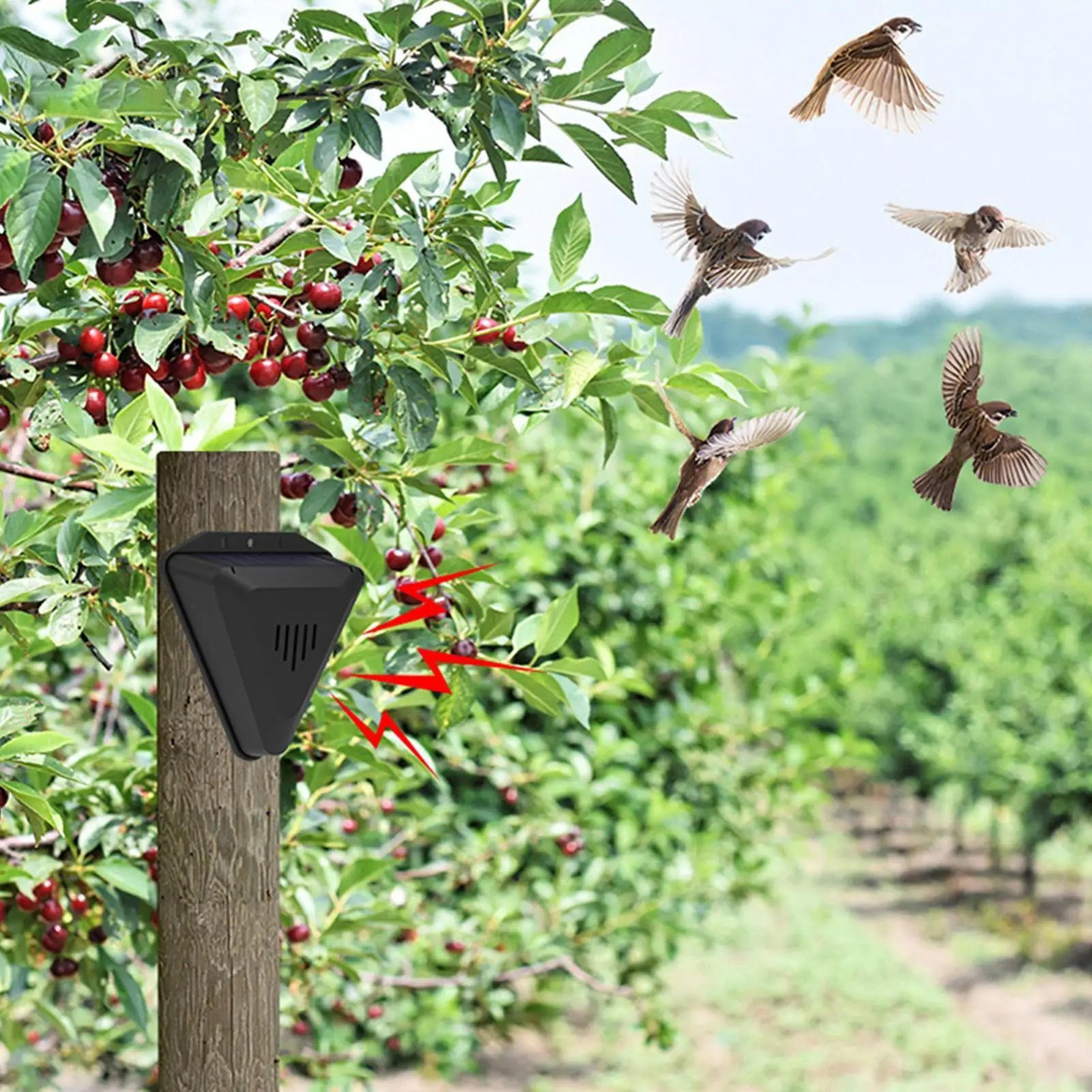 SolarGuard Solar Bird Repeller With 13 Sound Modes 4