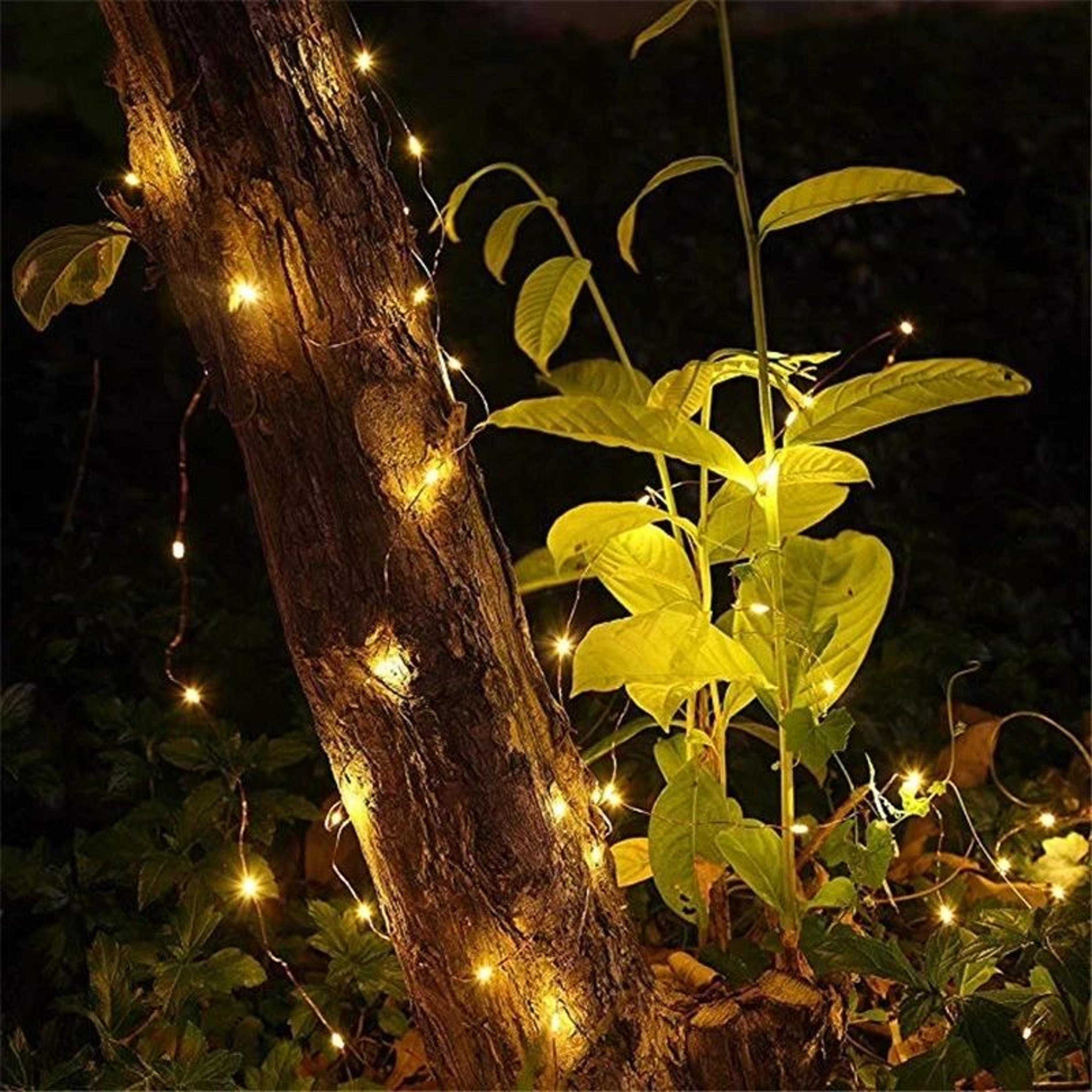 AA Battery Powered Copper Wire Fairy Lights 10 To 100 LED Decorative String Lights 3
