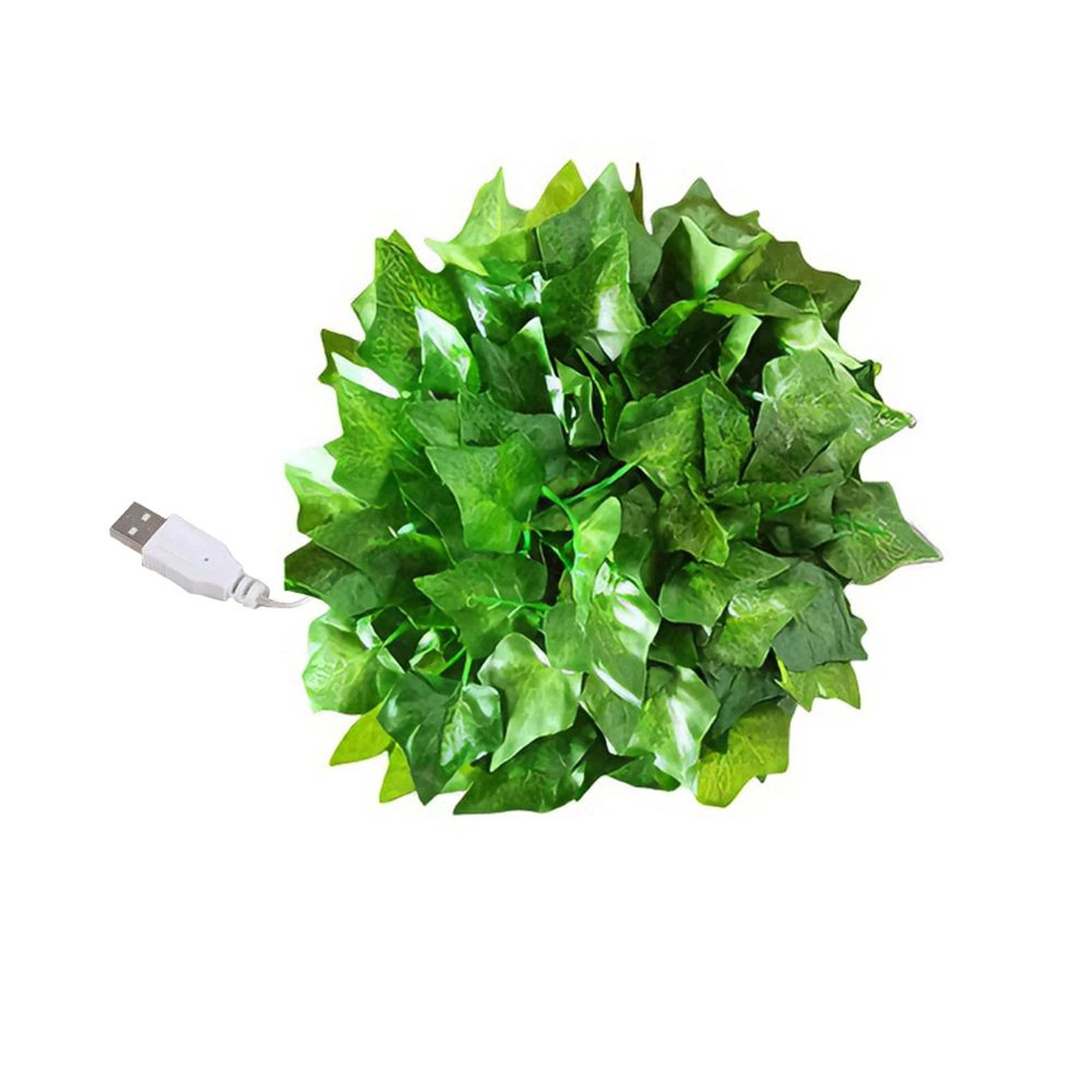 Eucalyptus Leaf LED Fairy String Lights USB Or Battery Powered 2M 5M 10M 6