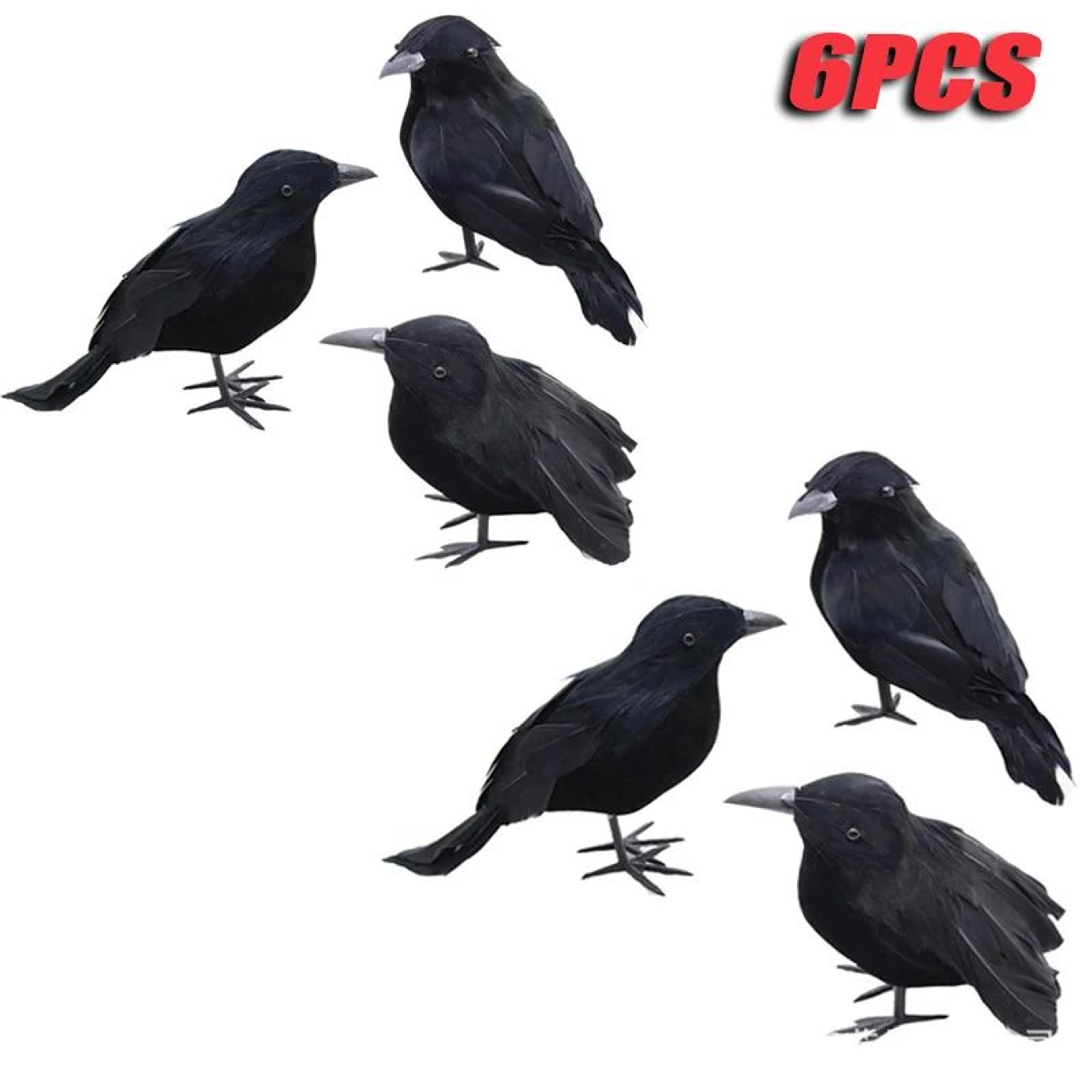 6PCS Realistic Black Feather Crow Halloween Decorations 6