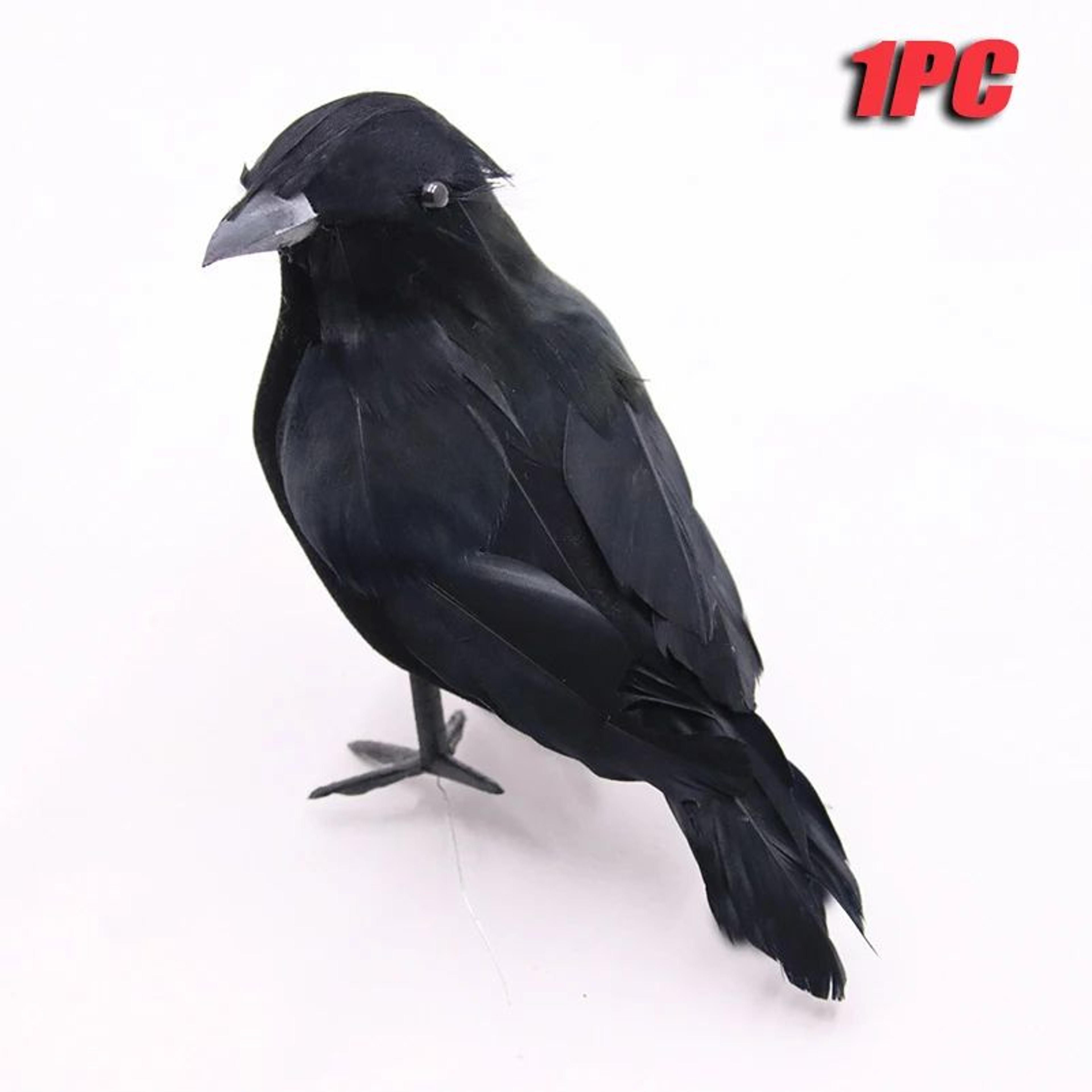 6PCS Realistic Black Feather Crow Halloween Decorations 9
