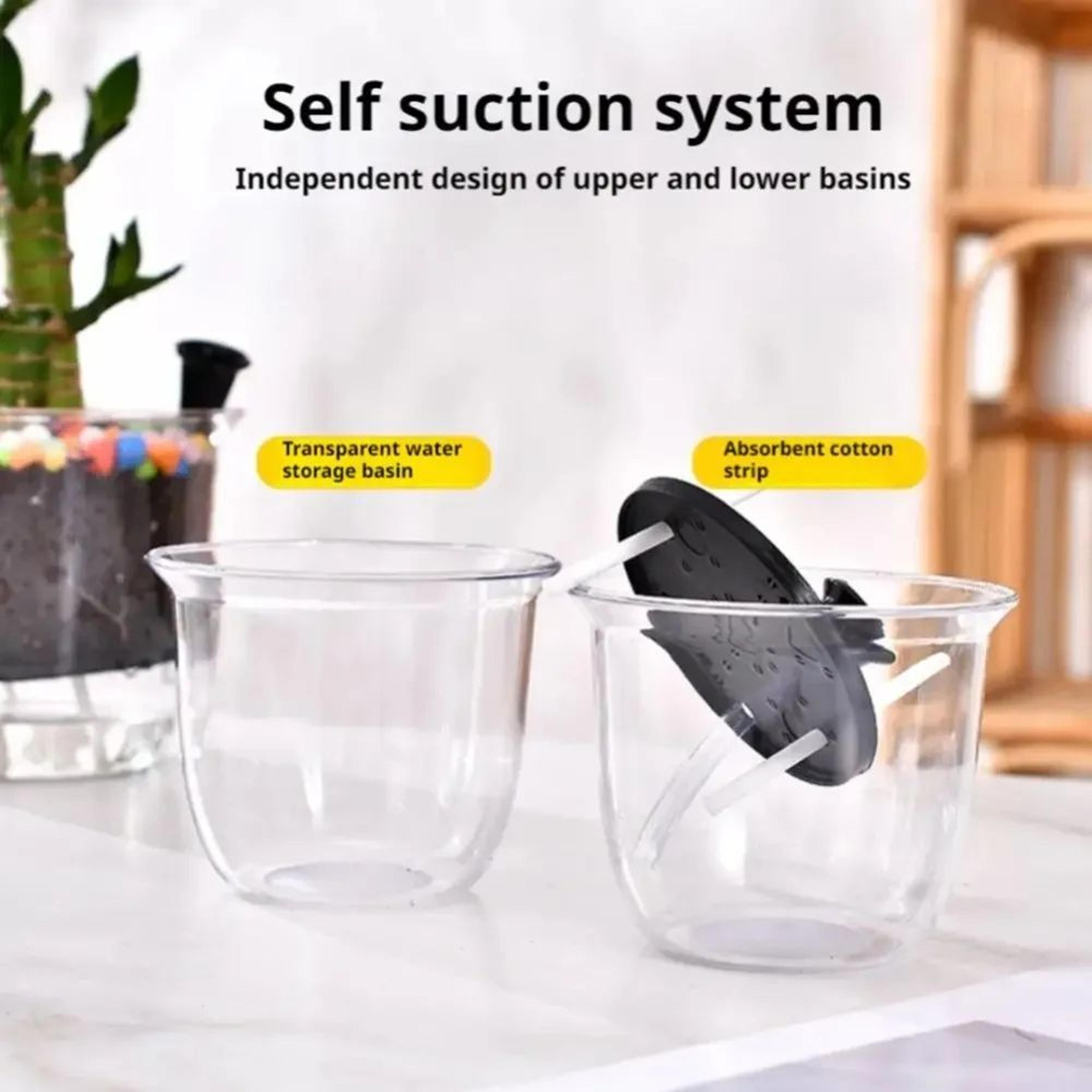 2PCS Clear SelfWatering Pots With Deep Reservoir For Indoor Plants 3
