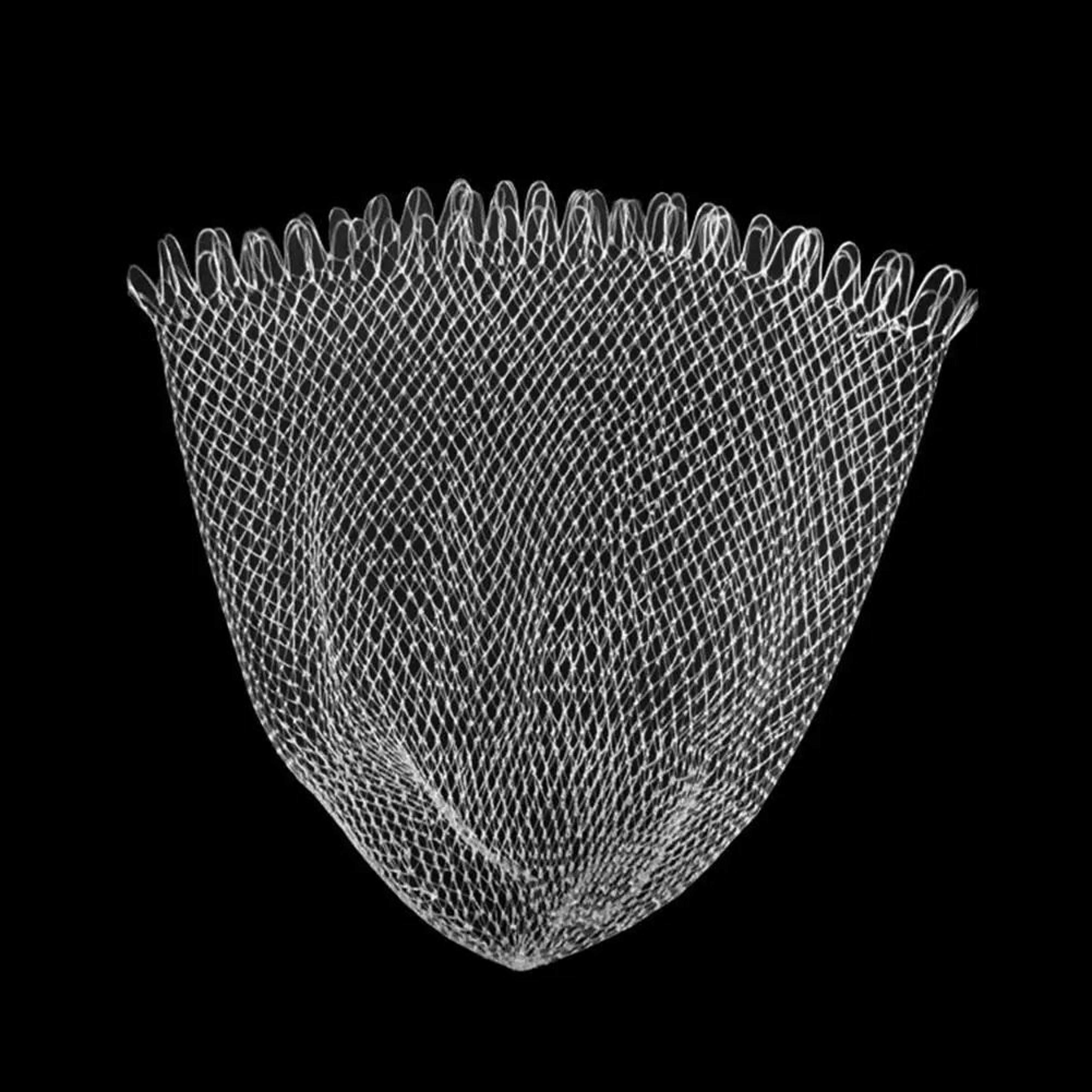 Double Line Braided Fishing Landing Net For Bass And Trout 5