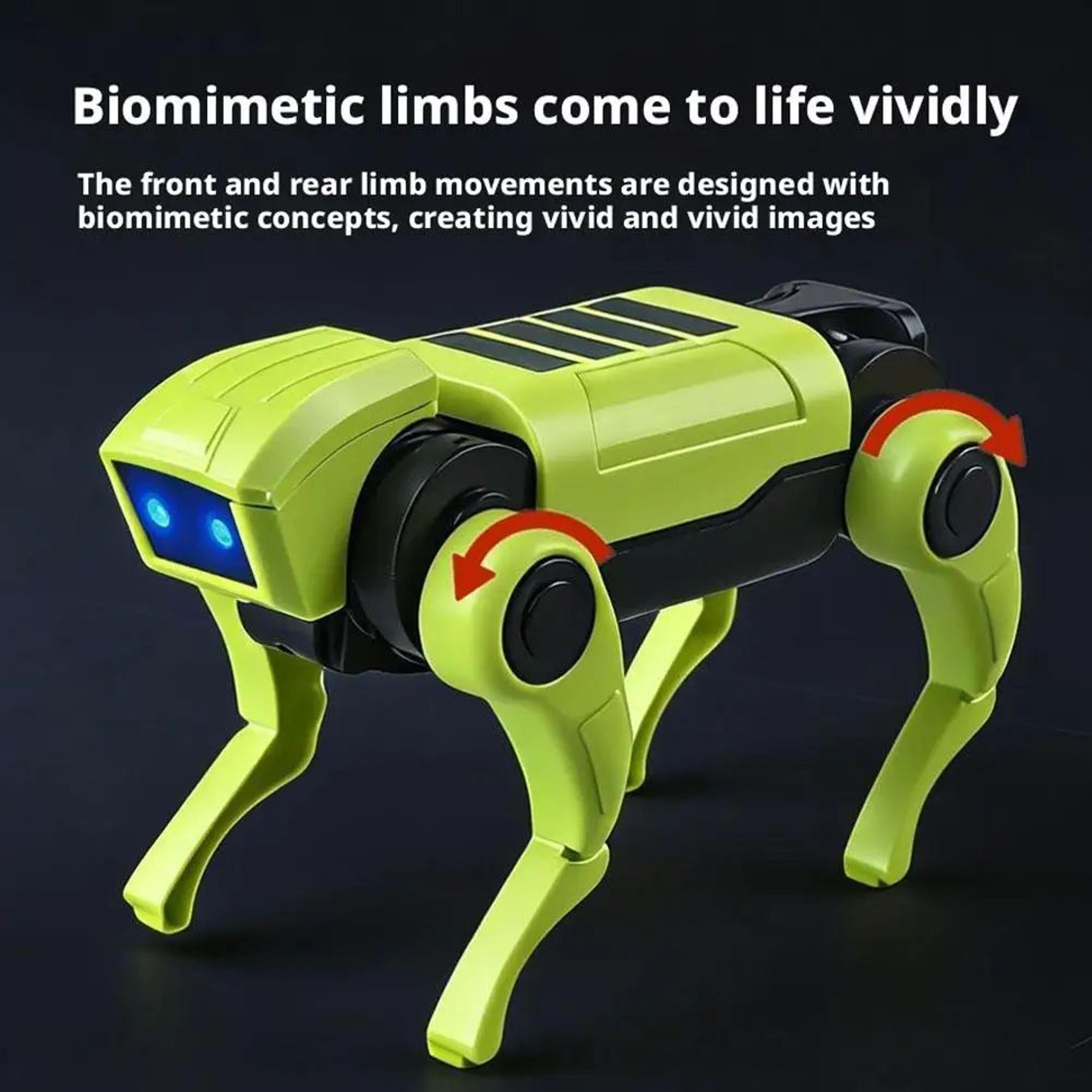 DIY Remote Control Robot Dog STEM Building Kit For Kids 2