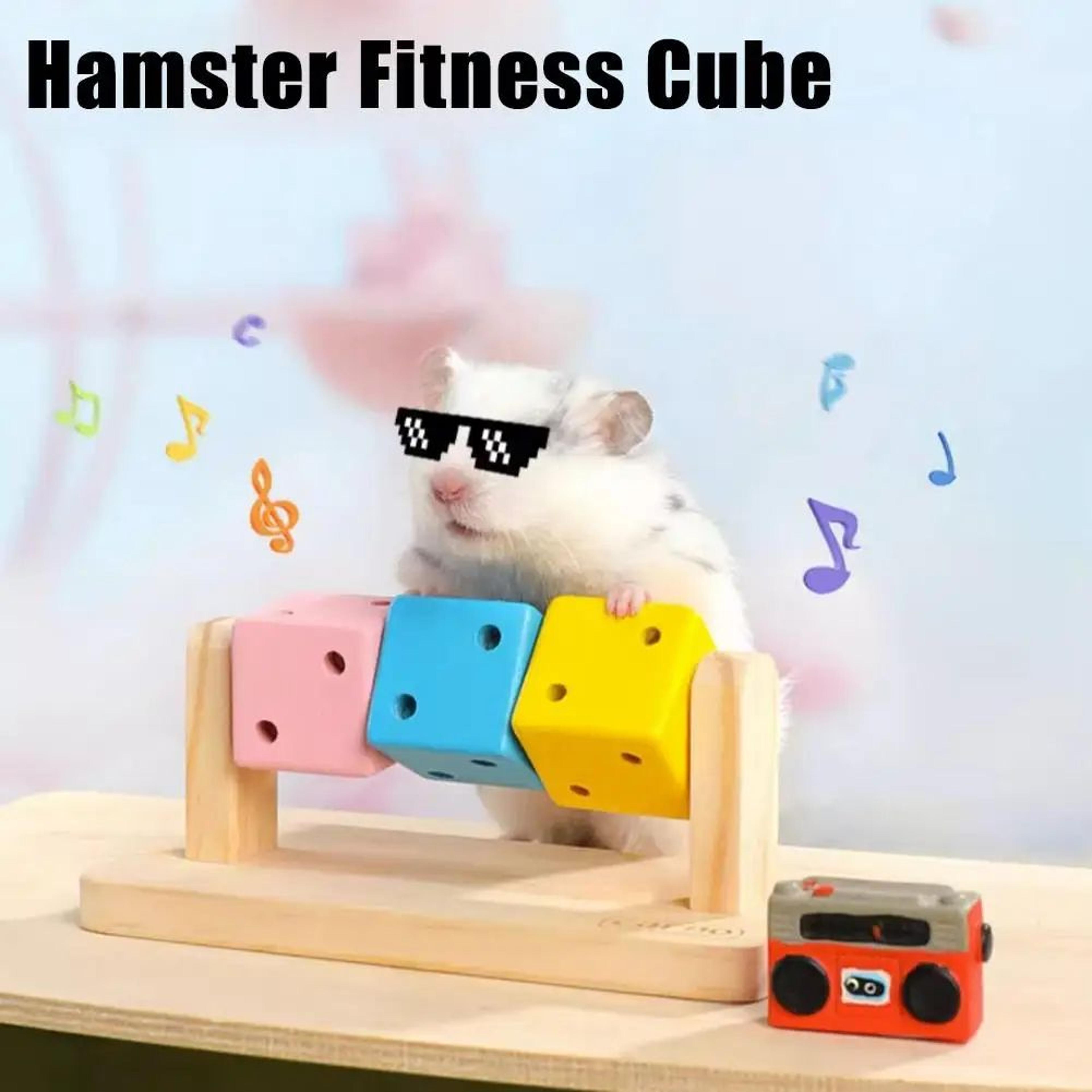 Colorful Wooden Cube Small Pet Chew Toy For Hamsters And Parrots 2