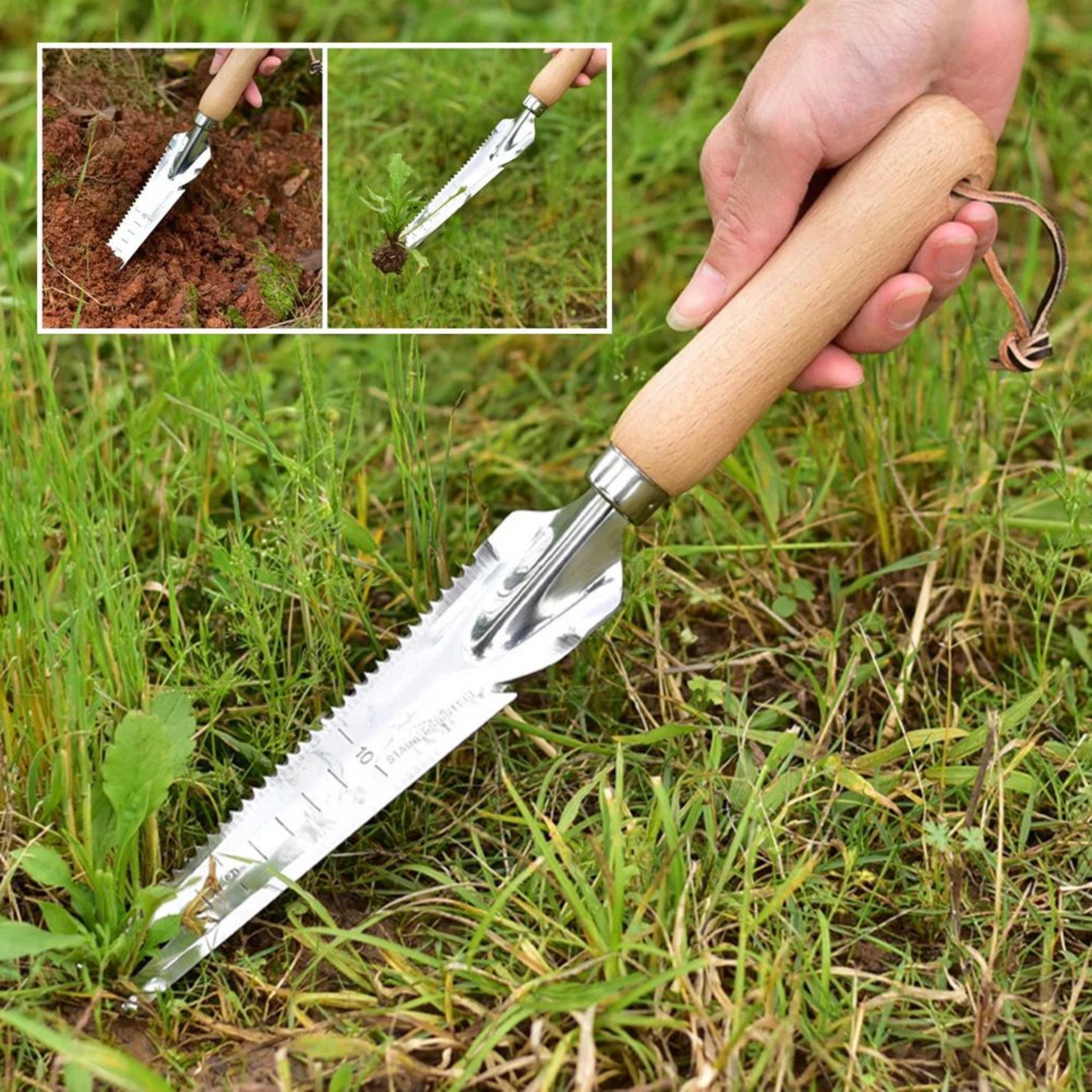 Stainless Steel Garden Crack Weeder Weed Puller With Sharp Tines 3