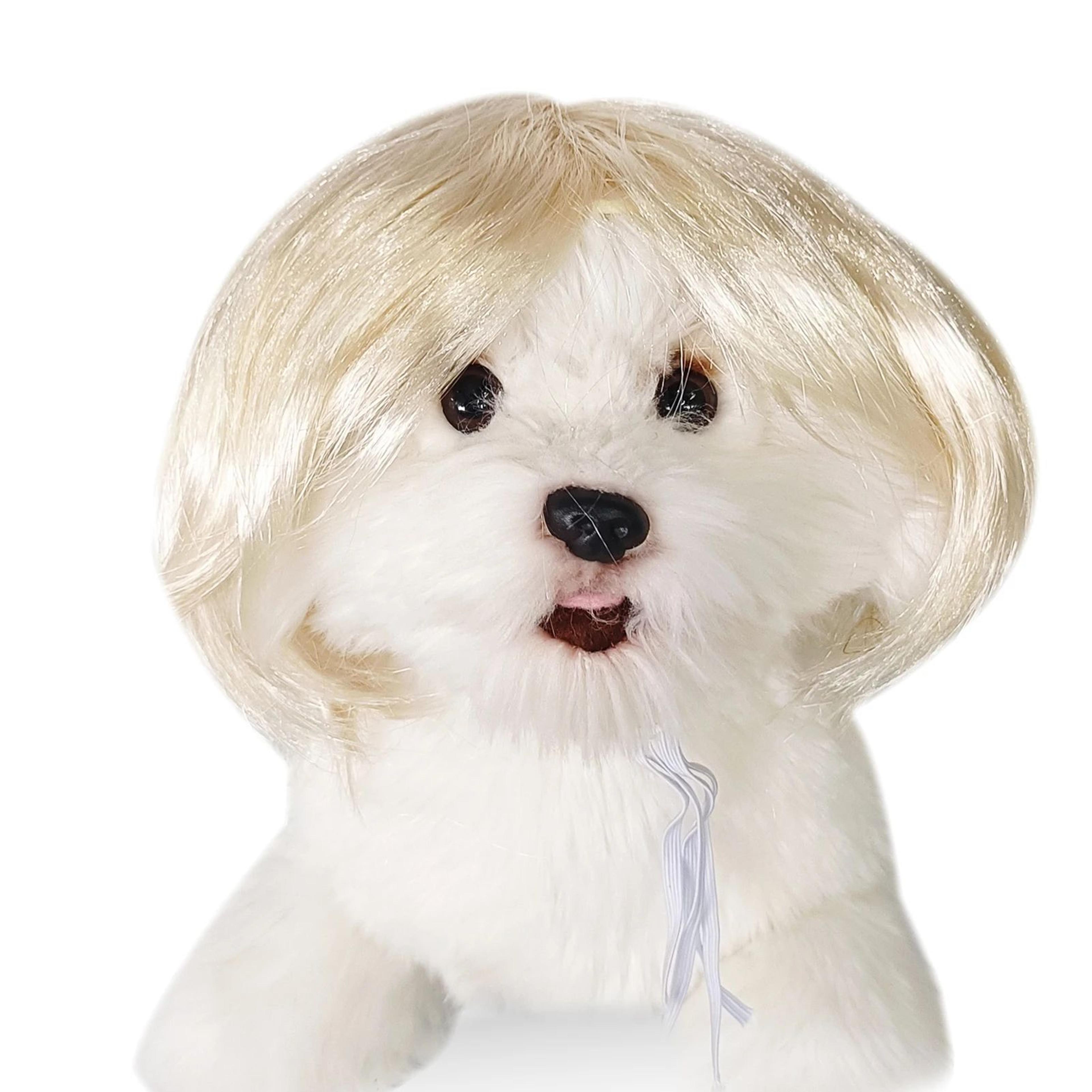 Funny Adjustable Pet Cosplay Wig For Dogs And Cats Halloween Costume 6