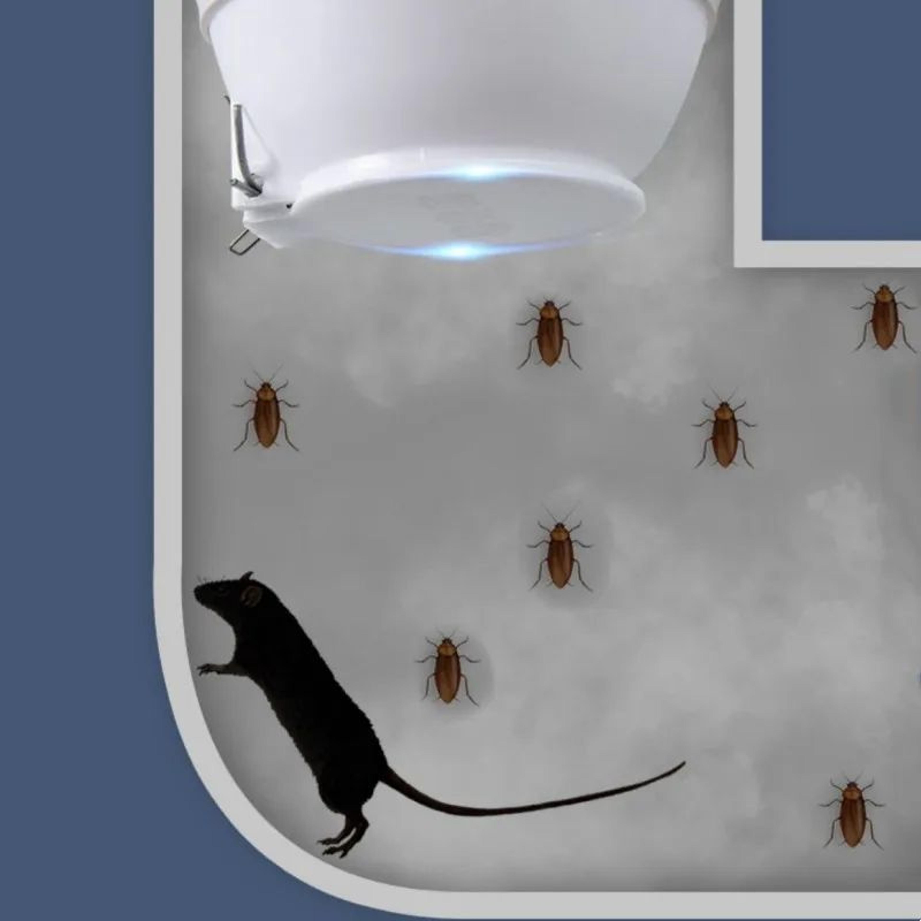 AntiOdor Squat Toilet Plug With Sewage Overflow And Blocking Protection 3