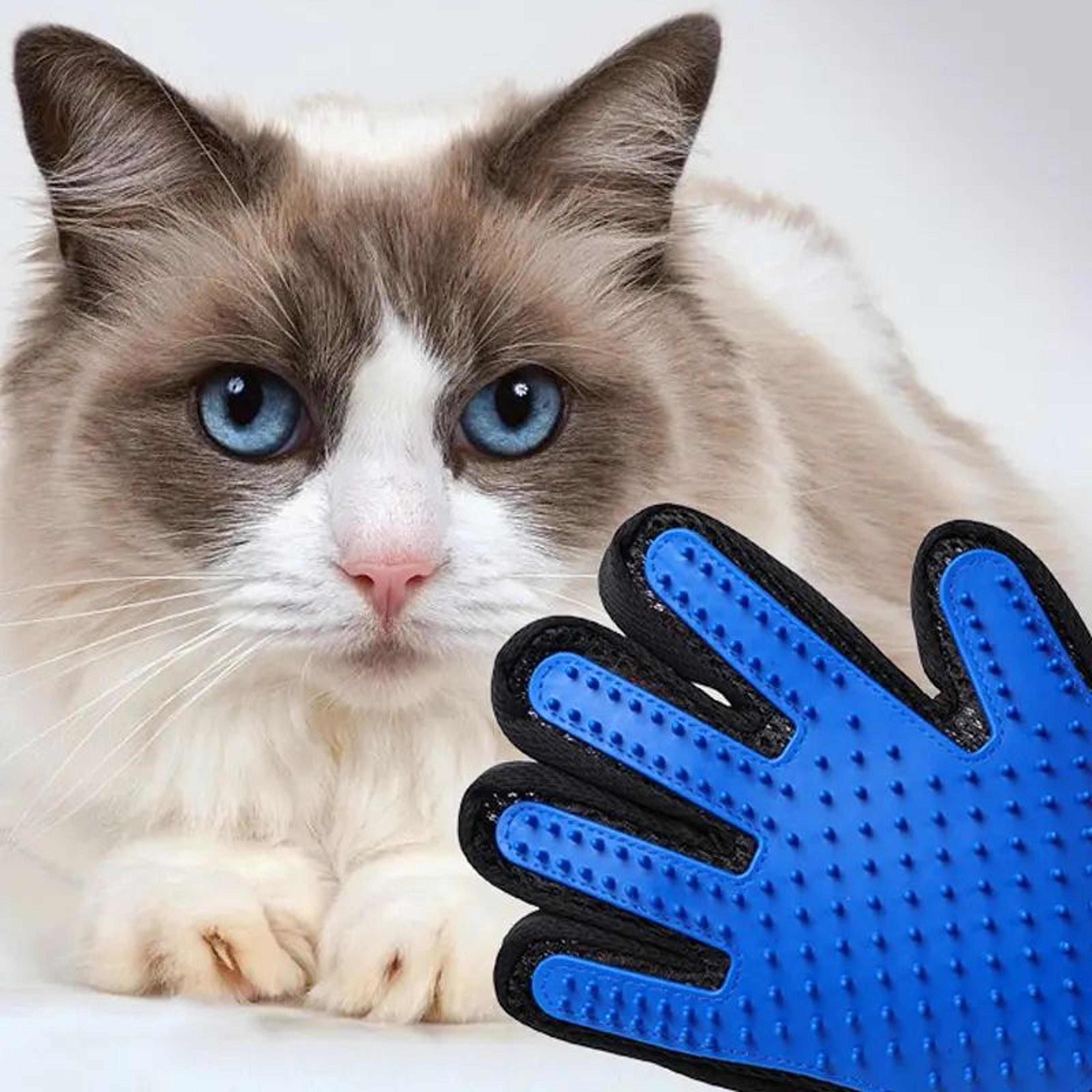 Silicone Pet Grooming Glove For Cat And Dog Hair Removal Massage And Bathing 4