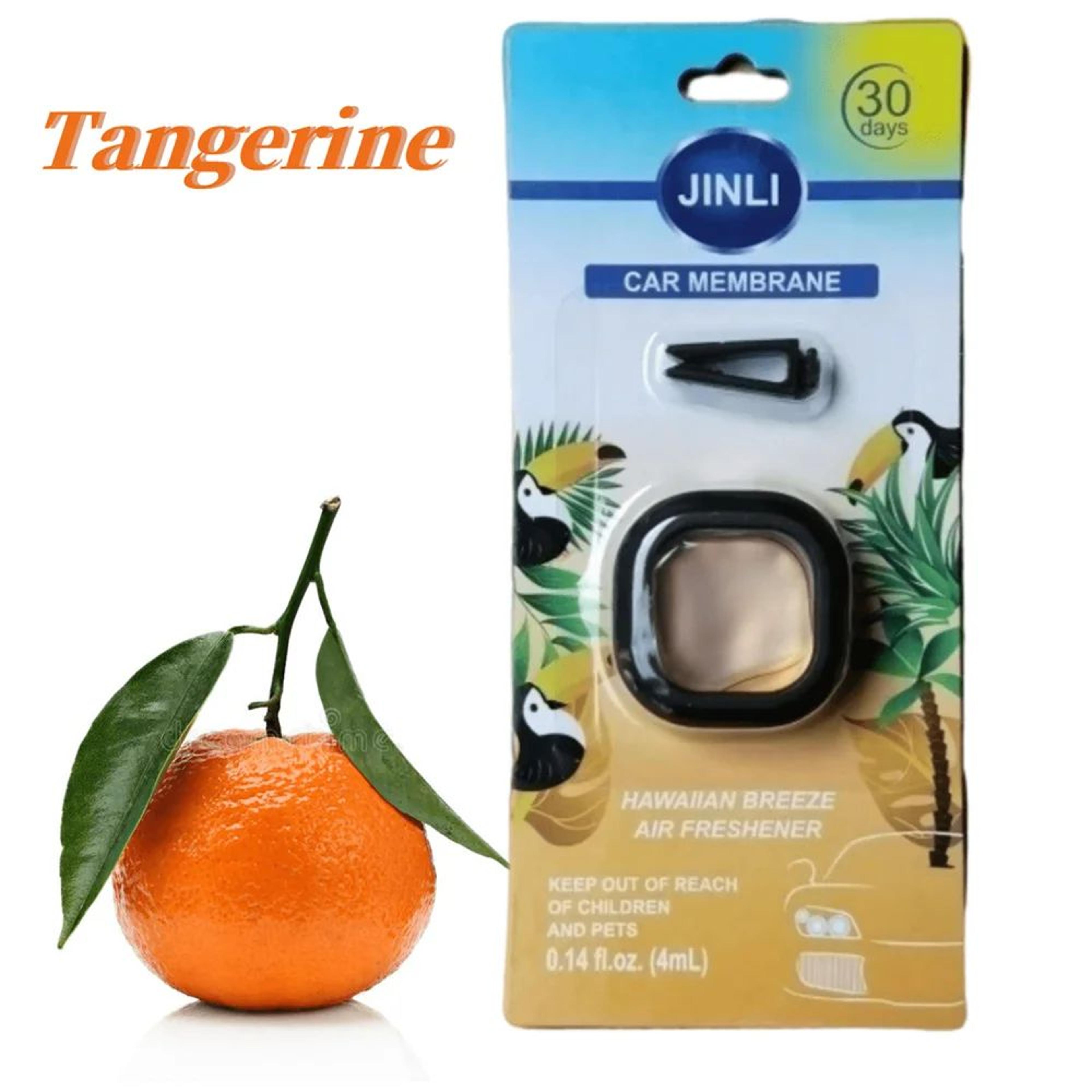 LongLasting Car Air Freshener Vent Clip With Essential Oil Fragrance 014 Oz 6