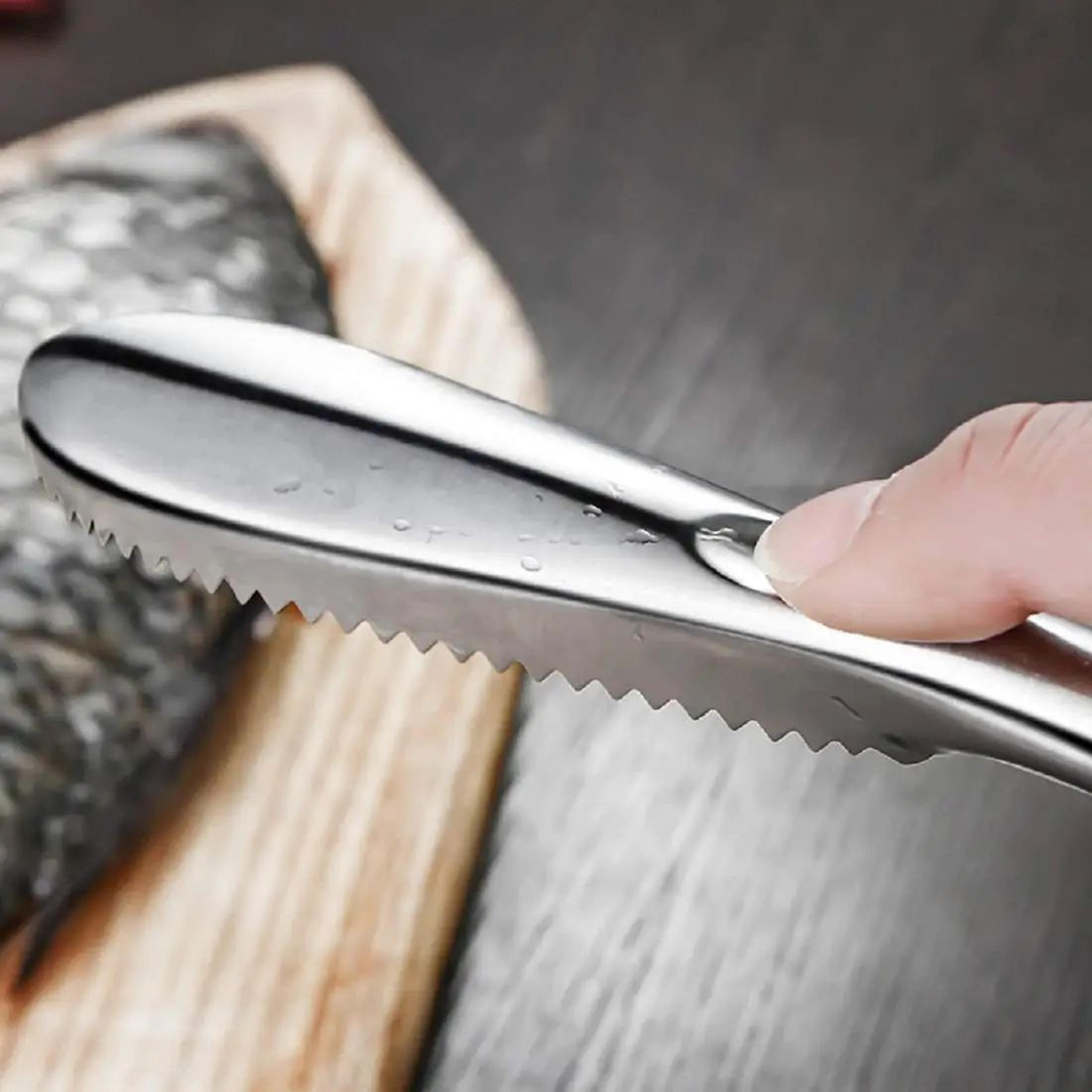 Stainless Steel Fish Scaler Remover  Fish Scale Scraper Cleaning Tool 2