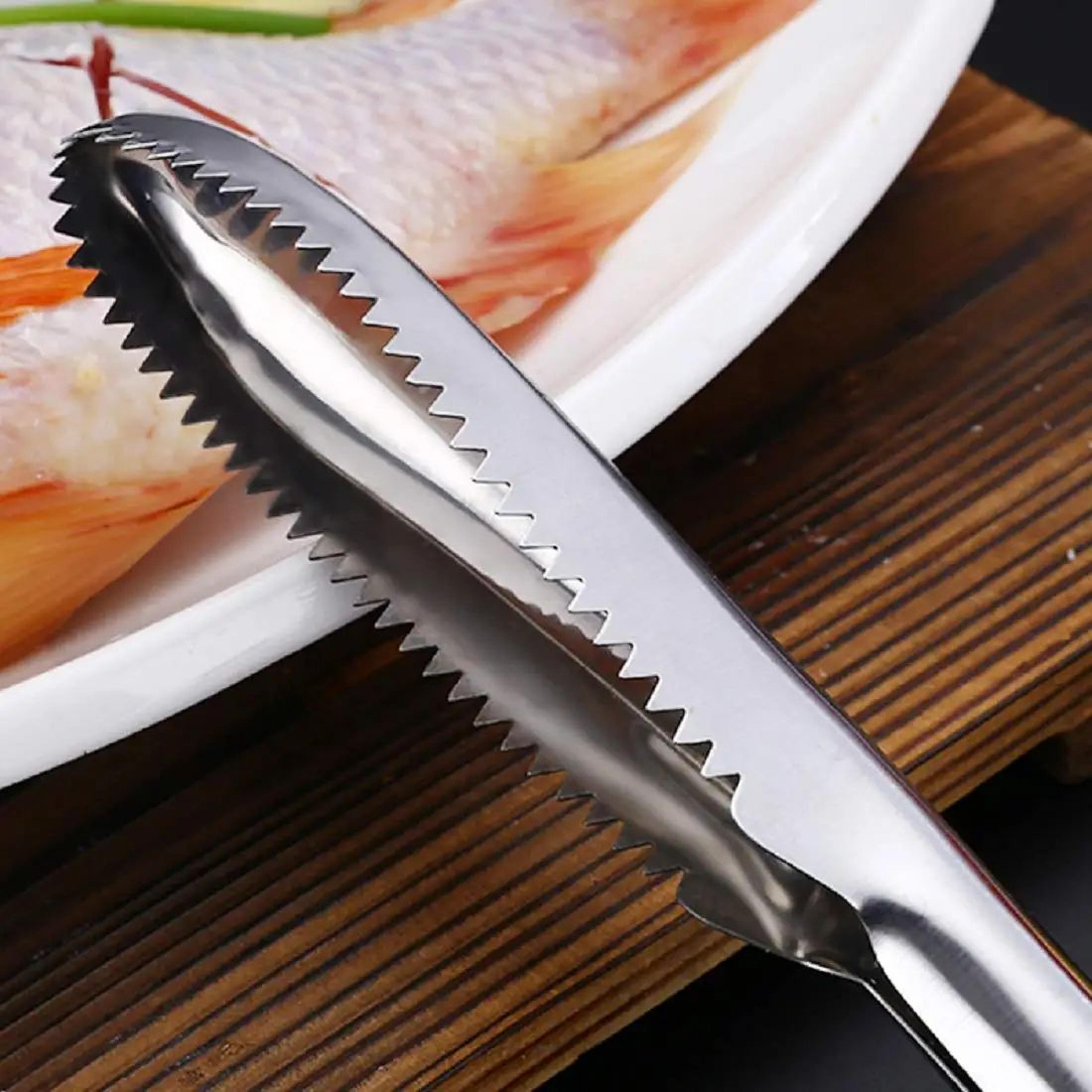 Stainless Steel Fish Scaler Remover  Fish Scale Scraper Cleaning Tool 5