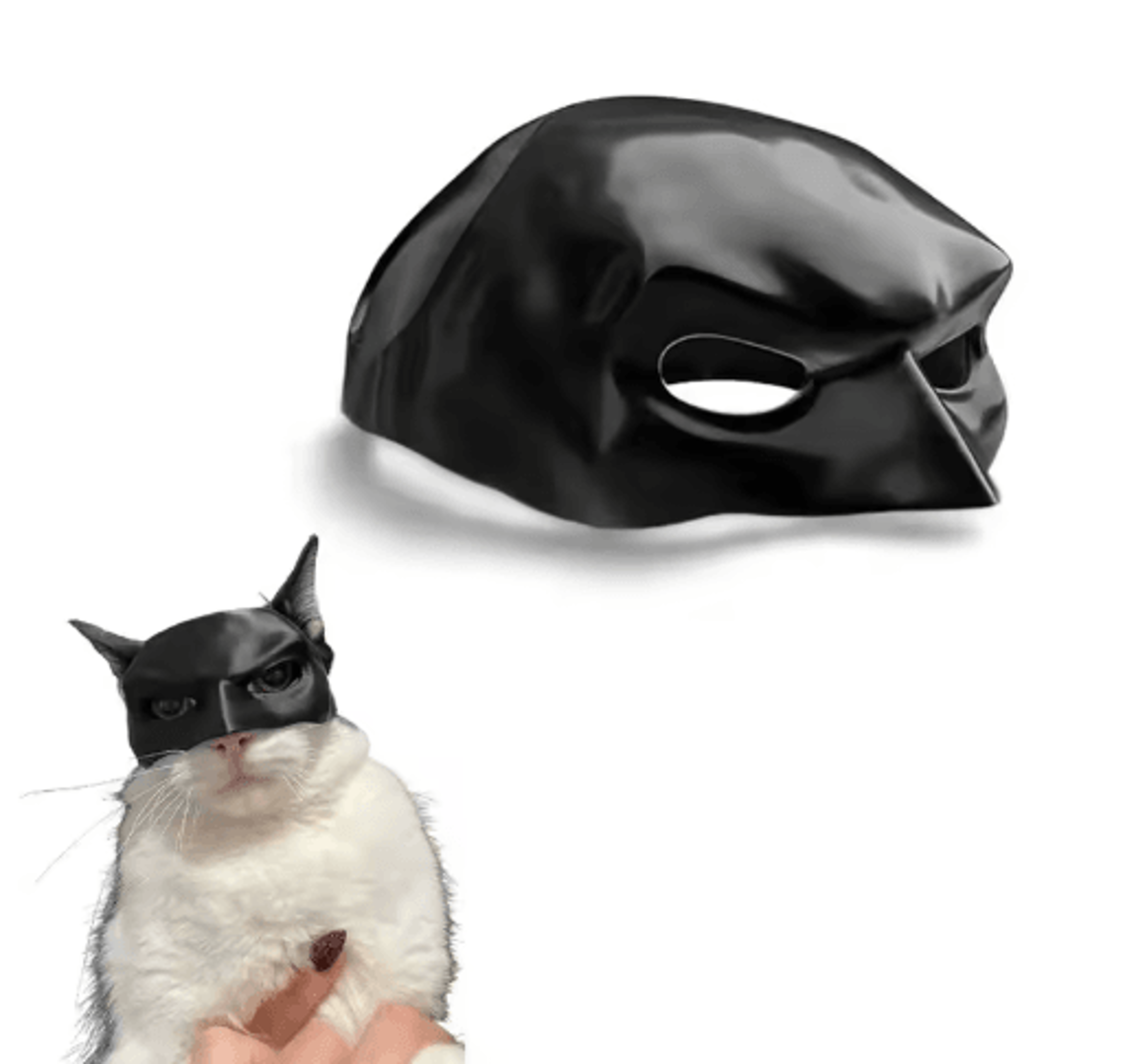 Cat Bat Superhero Mask Cute Matte Cat Avenger Costume Mask For Pets 9