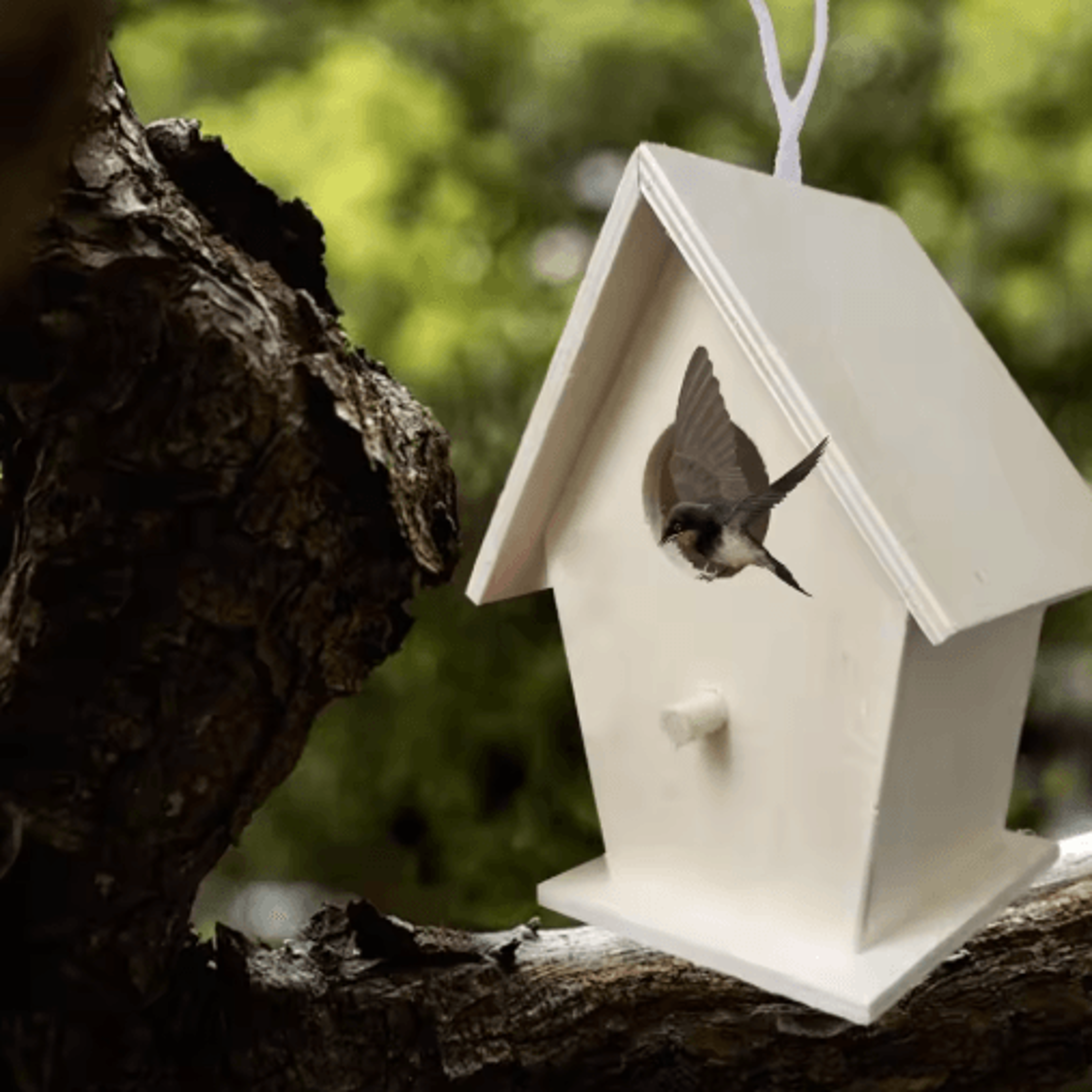 Hanging Wooden Bird House Unpainted DIY Bird Feeder And Craft Birdhouse 1 Tp 2 PCS 7