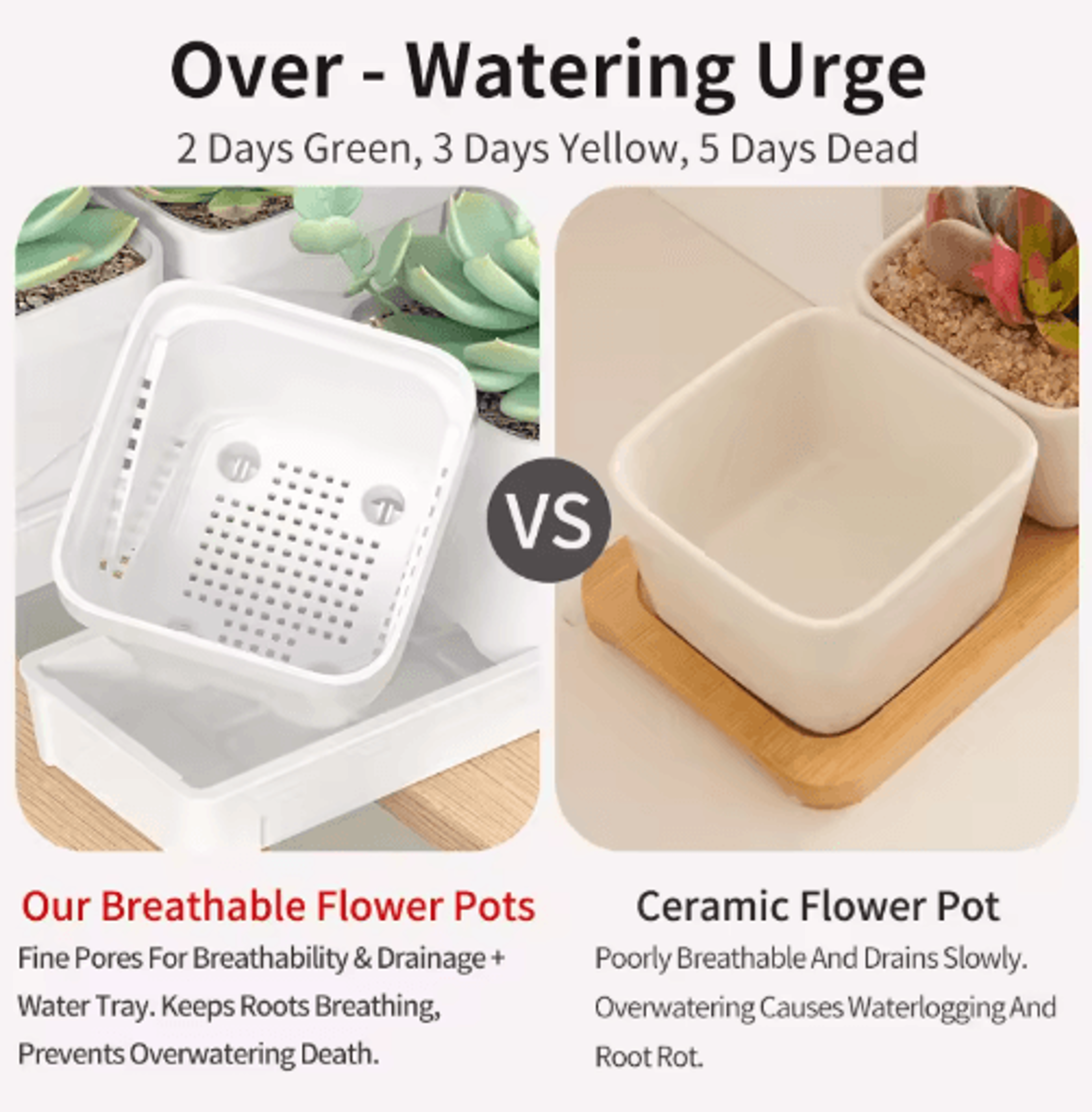 Square Ventilated Plastic Flower Pot Succulent Planter With Thick Drainage Tray 11