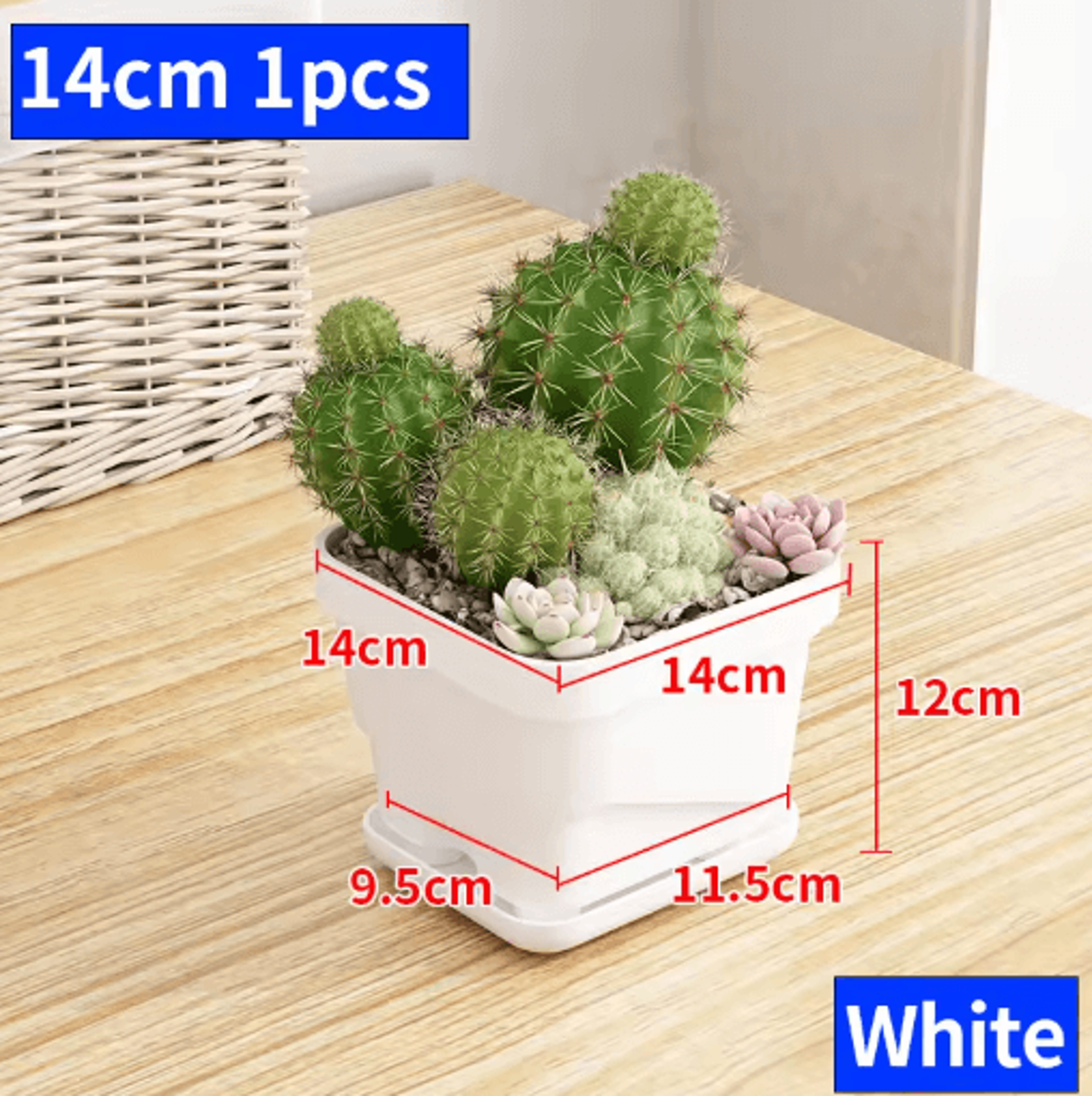 Square Ventilated Plastic Flower Pot Succulent Planter With Thick Drainage Tray 9