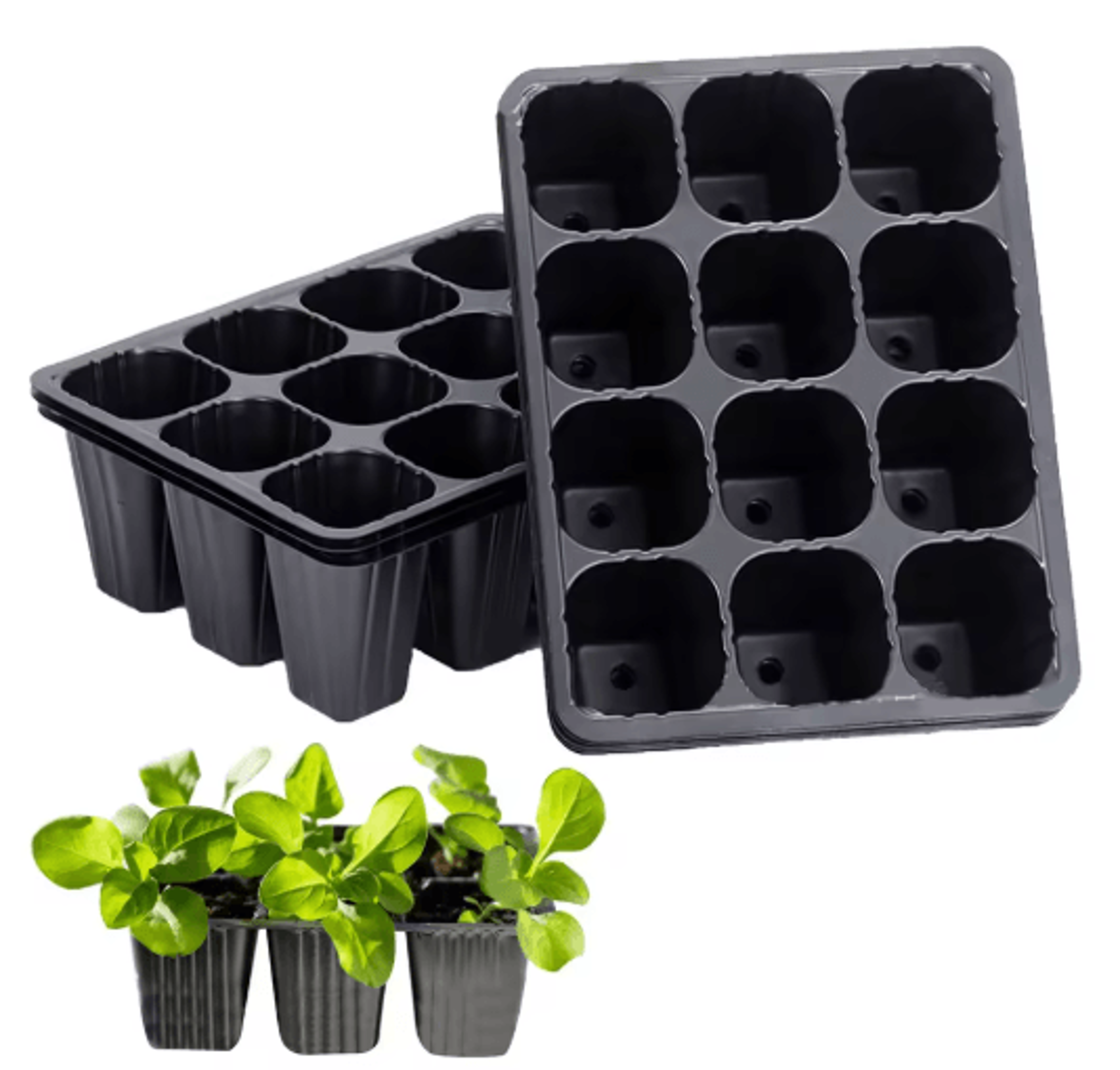 12 Hole Seedling Tray Pots Black Vegetable Germination Grow Boxes For Plants And Flowers 10 20 PCS 6