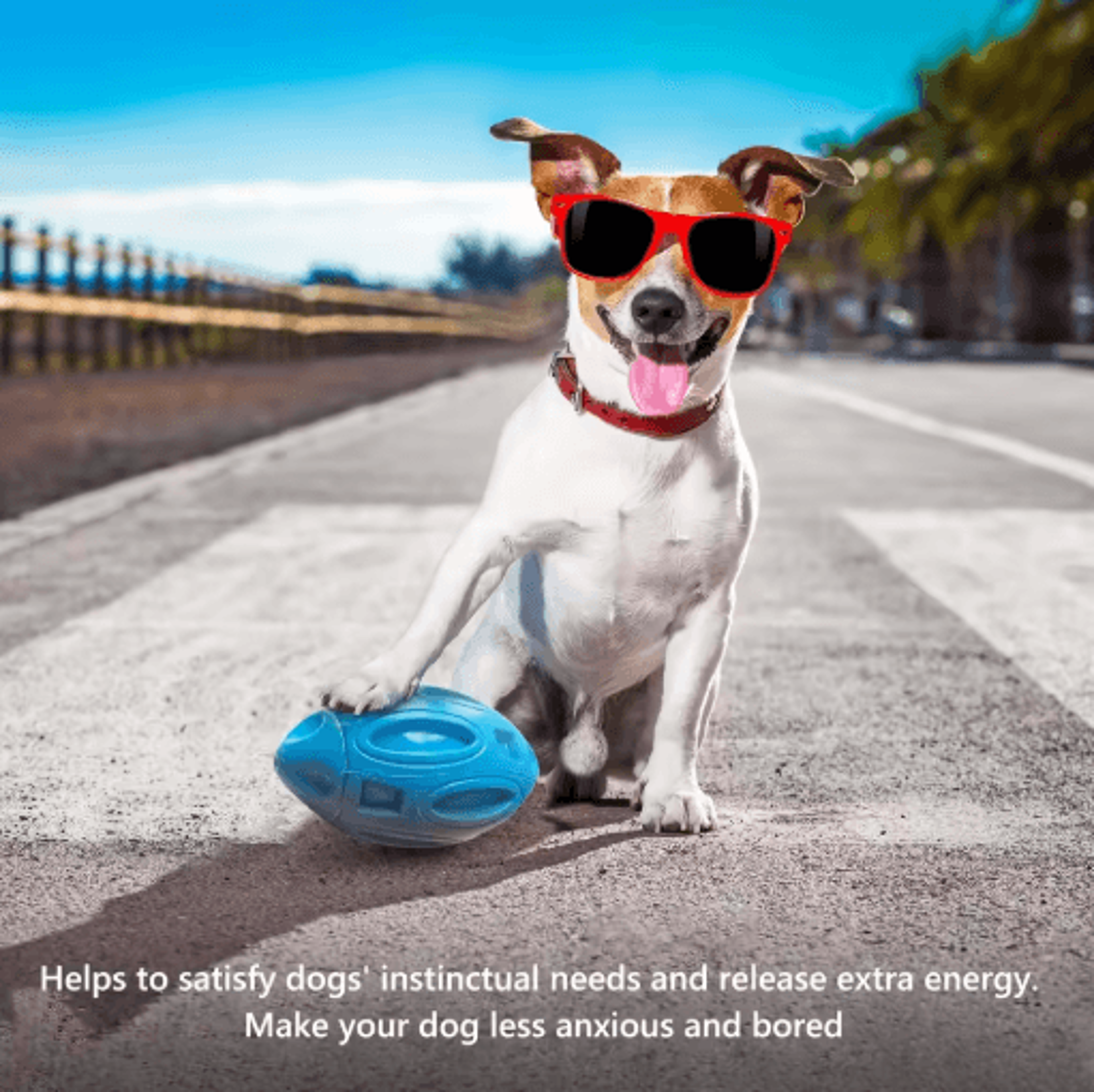 Durable Squeezing Rubber Dog Ball For Aggressive Chewers With Sound 1