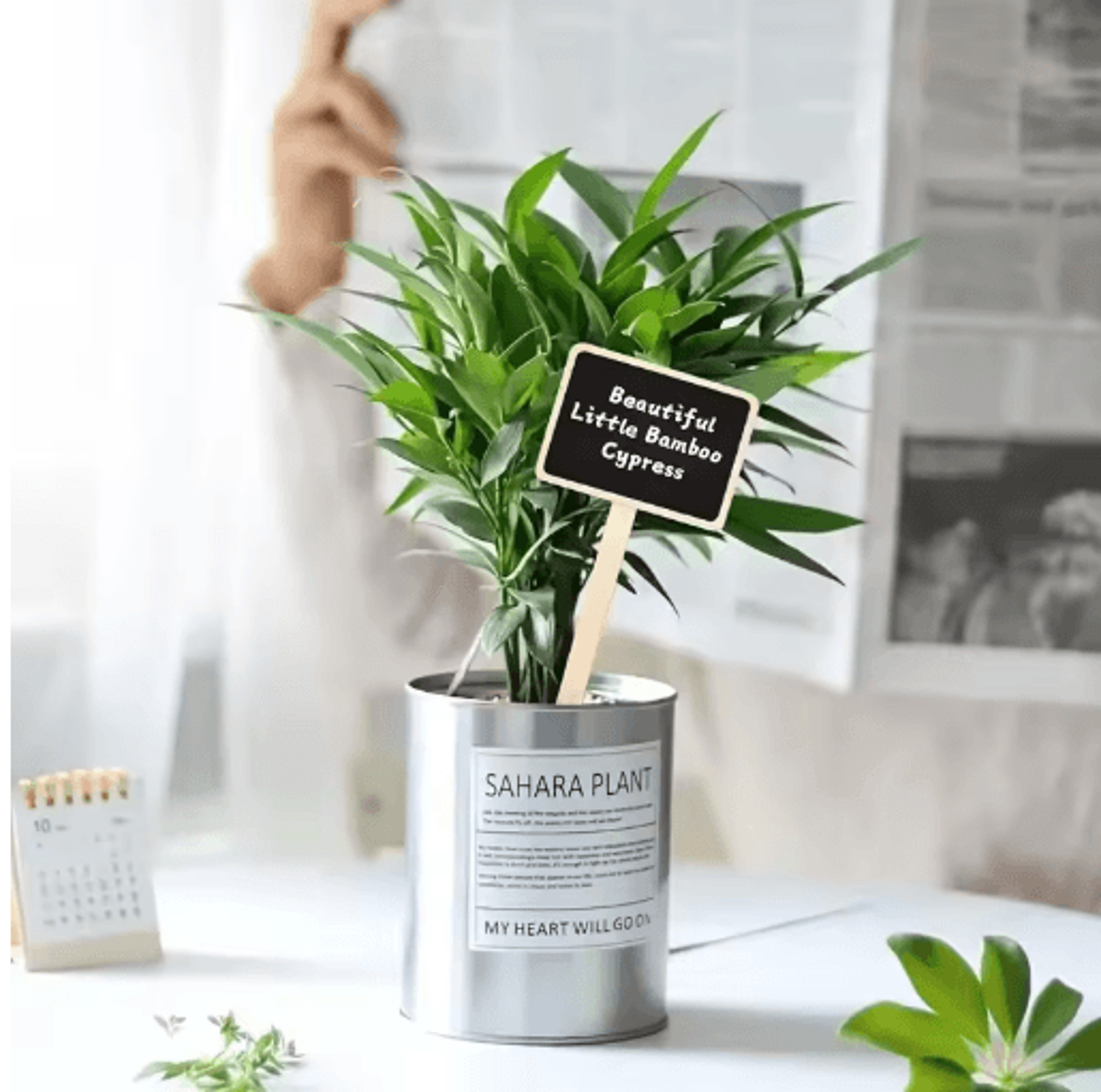 Rustic Wooden Plant Labels 10pcs And 20pcs T Shaped Blackboard Garden Signs For Plant Marking 5