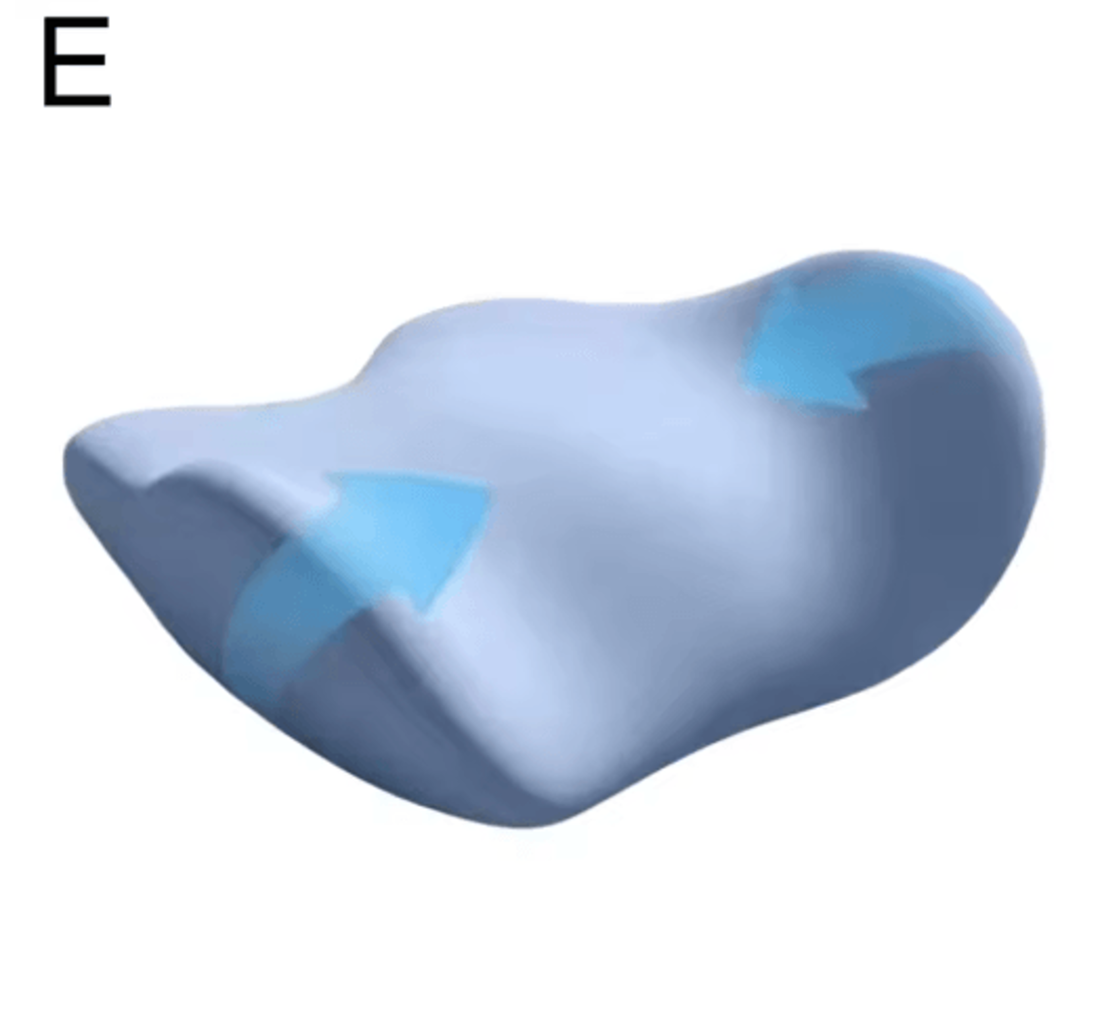 Ergonomic Memory Cotton Lumbar Support Pillow For Sleep  Bed Use 1