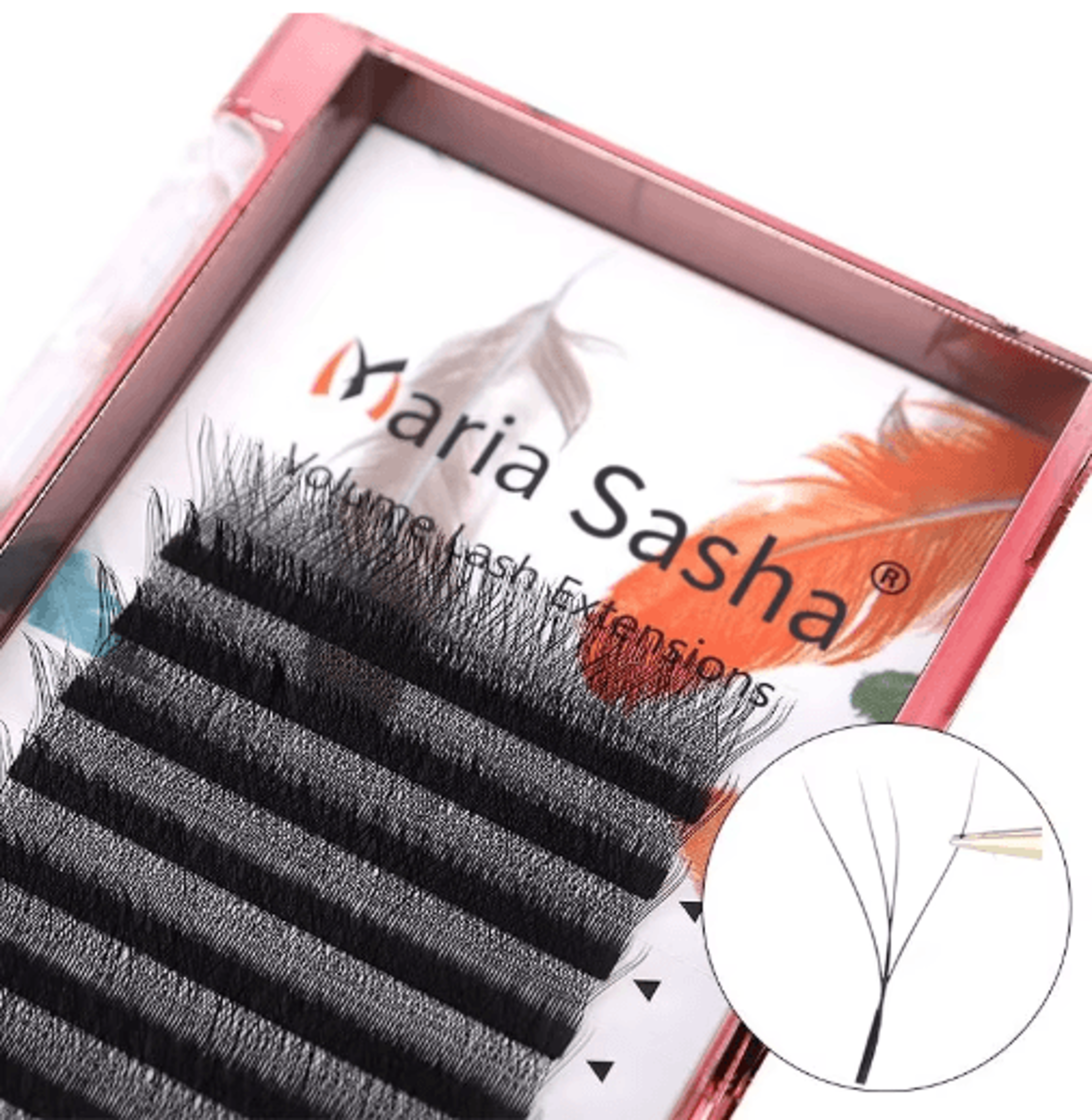 MARIA 4D W Shaped Beam Lash Extensions Easy Fan Russian Volume Clusters 5