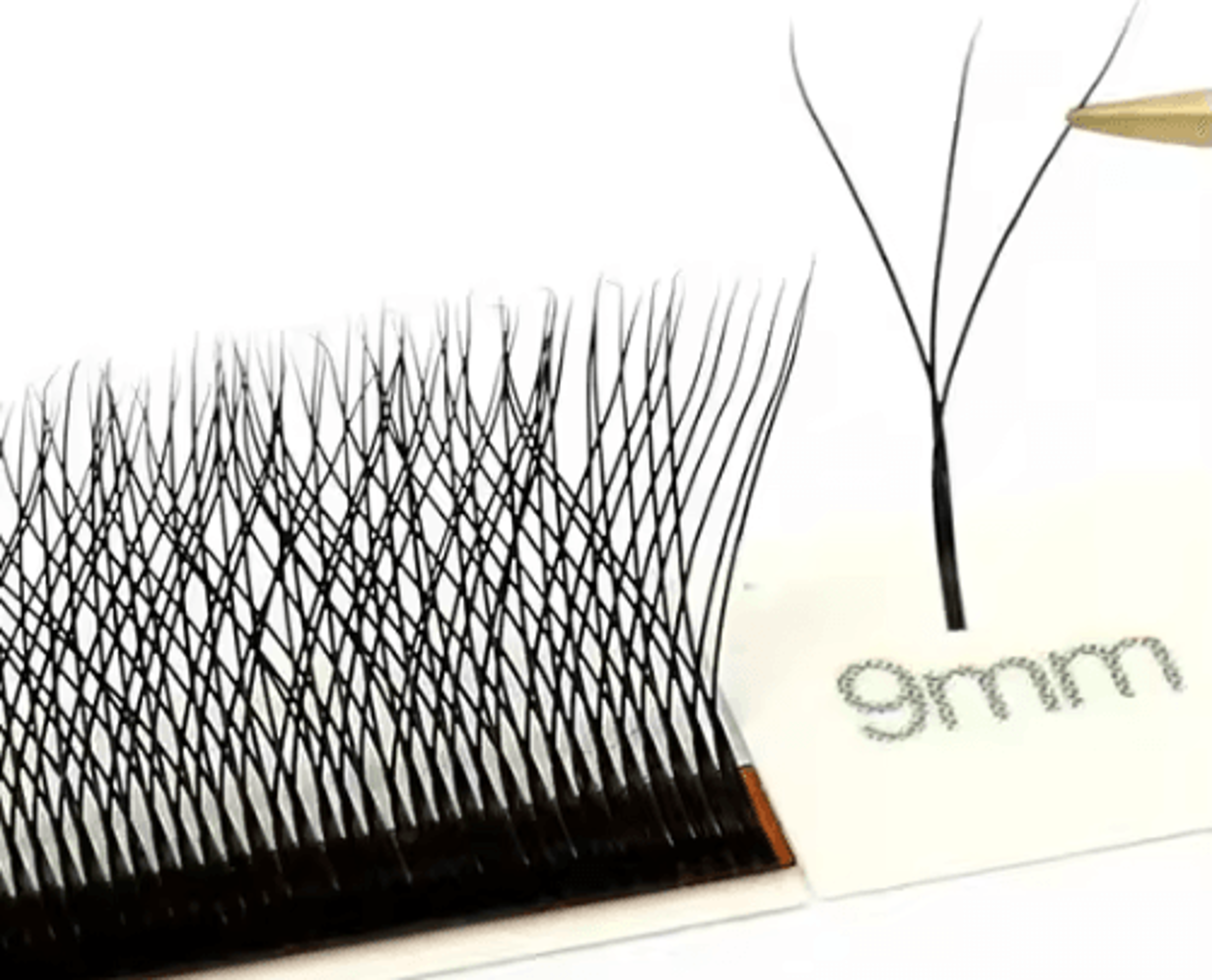 MARIA 3D W Shaped Soft Lash Extensions 007 Easy Fan Y Clusters Wholesale Private Label 1