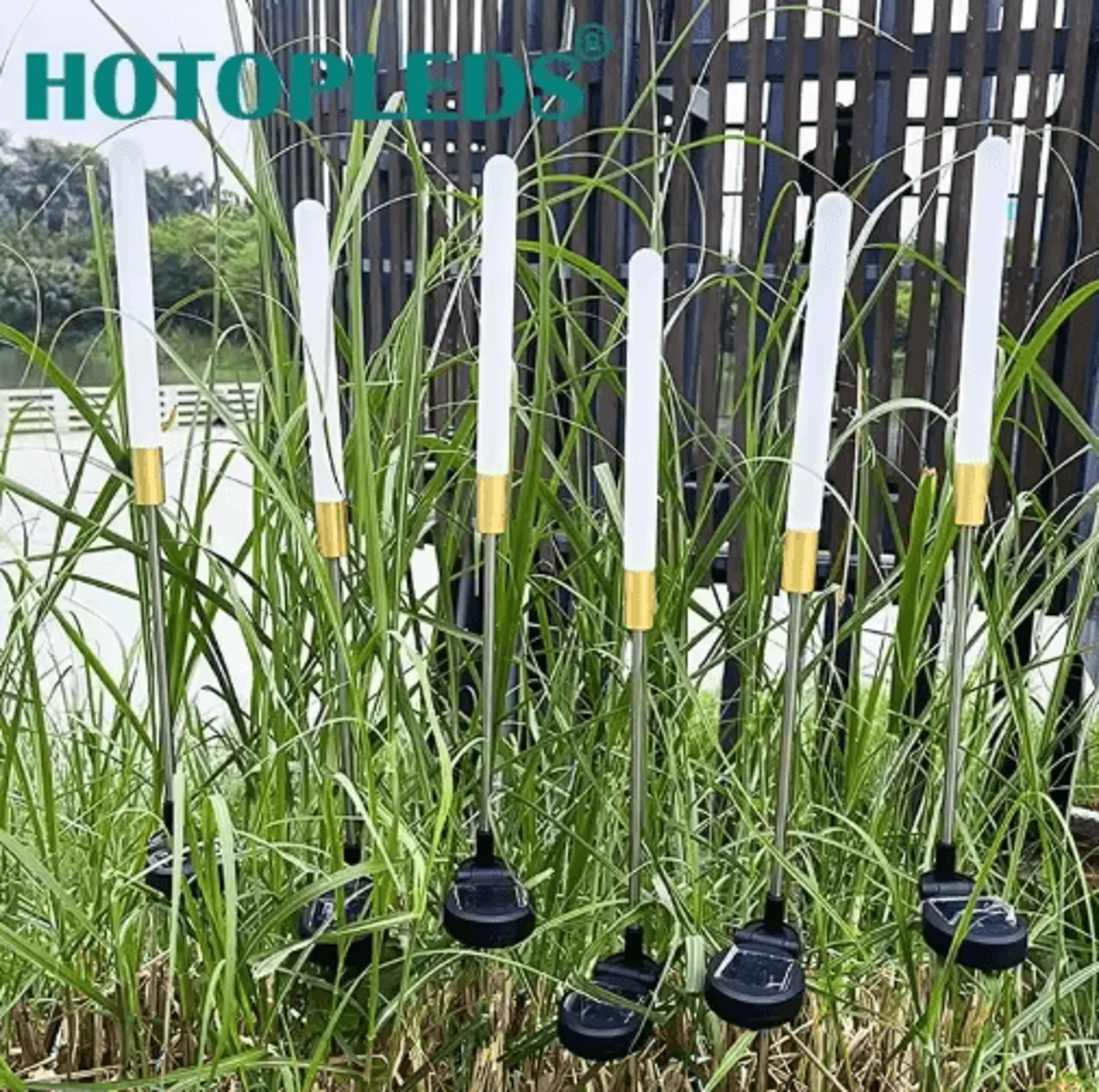 Luminous Solar Reed Garden Lights  Waterproof LED Decorative Flower Stake 4