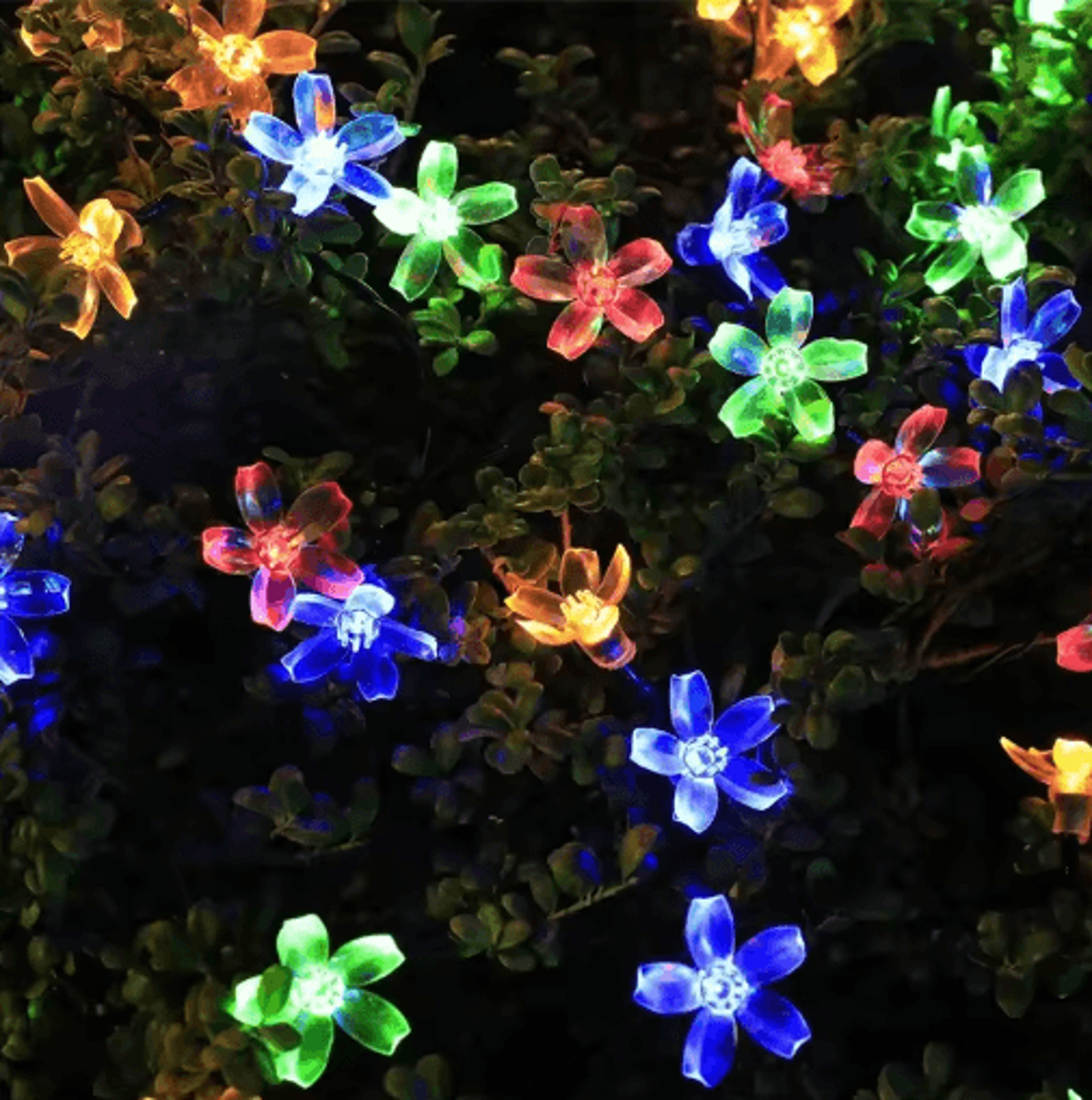 Solar Sakura Cherry Blossom String Lights  5M Fairy Lights For Garden  Wedding Decor 7