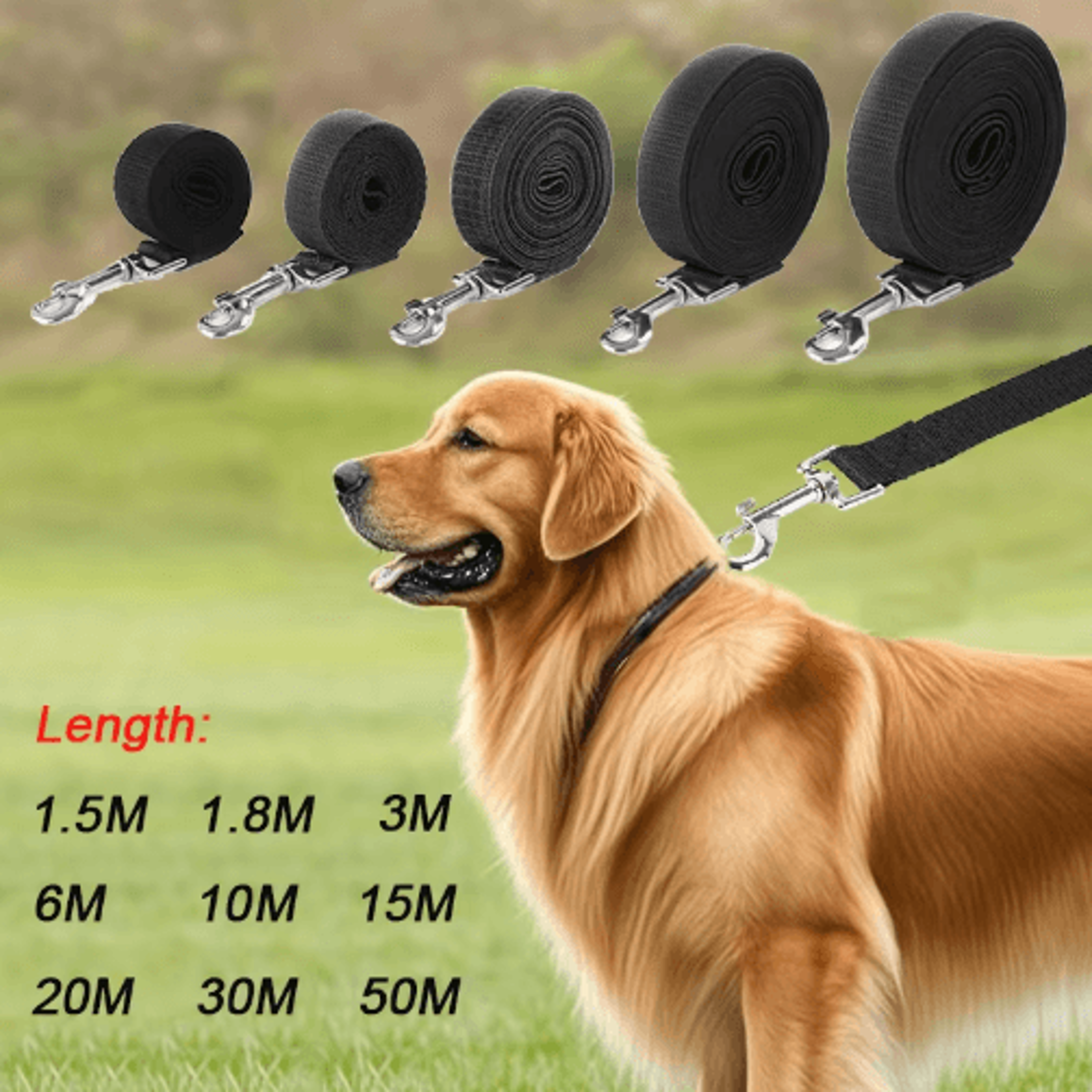 Extra Long Nylon Dog Training Leash For Outdoor Training  Walking 10m15m20m 0
