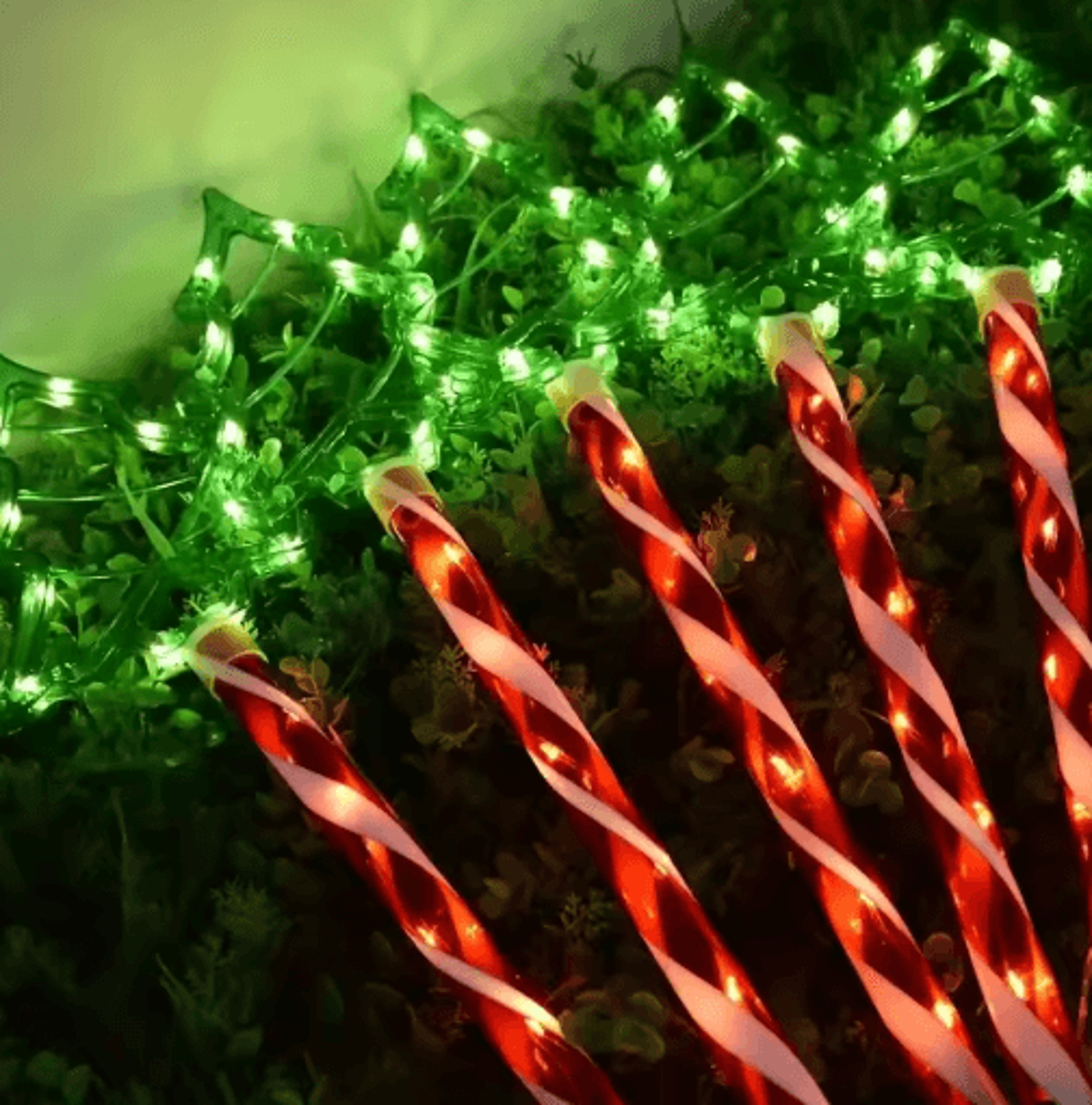 Solar Candy Christmas Tree Garden Lights 5PC Outdoor Stake Light Set 0