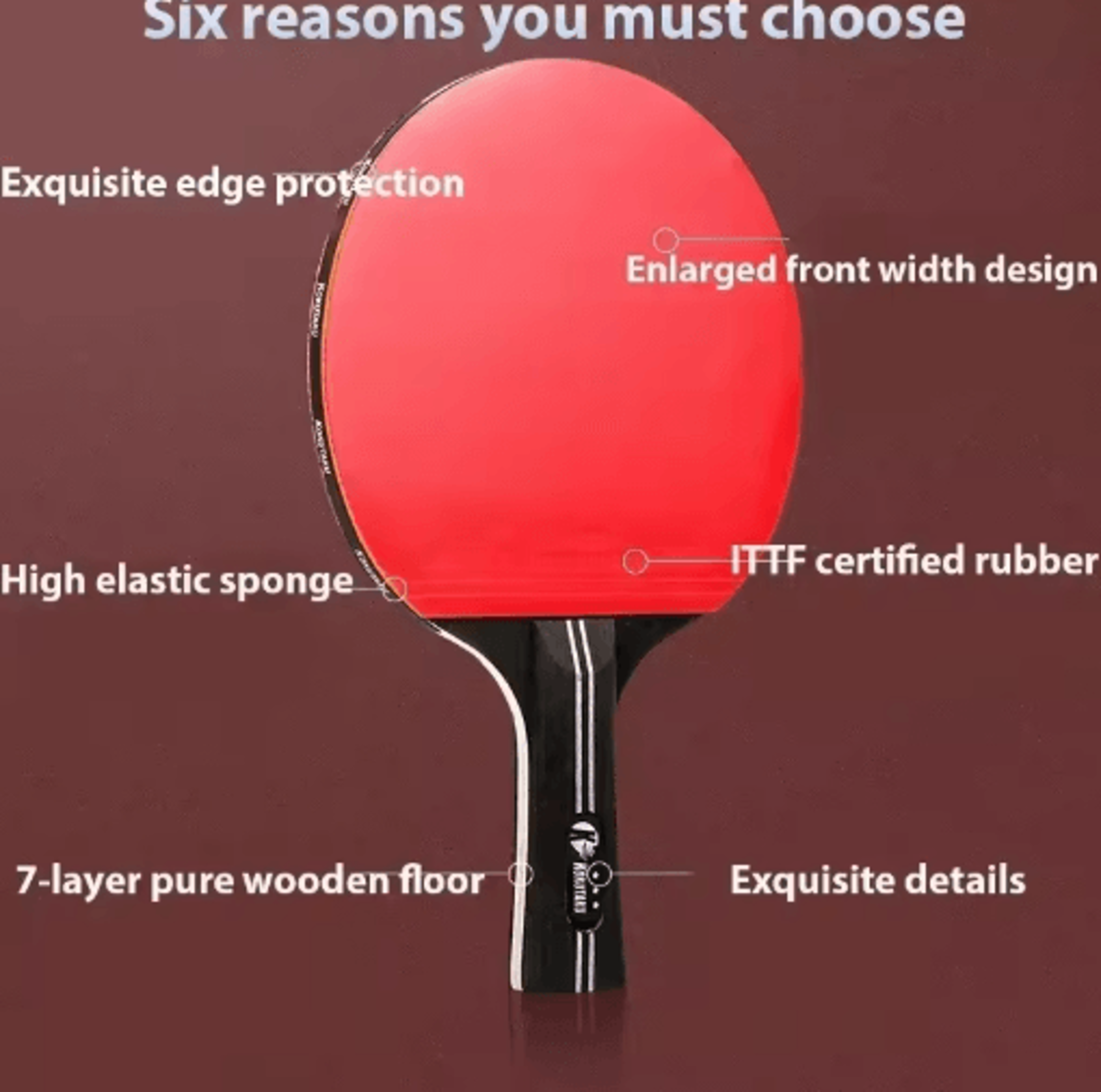 Portable ITTF Approved Table Tennis Racket Set With Bag  2 Paddles  3 Balls 4