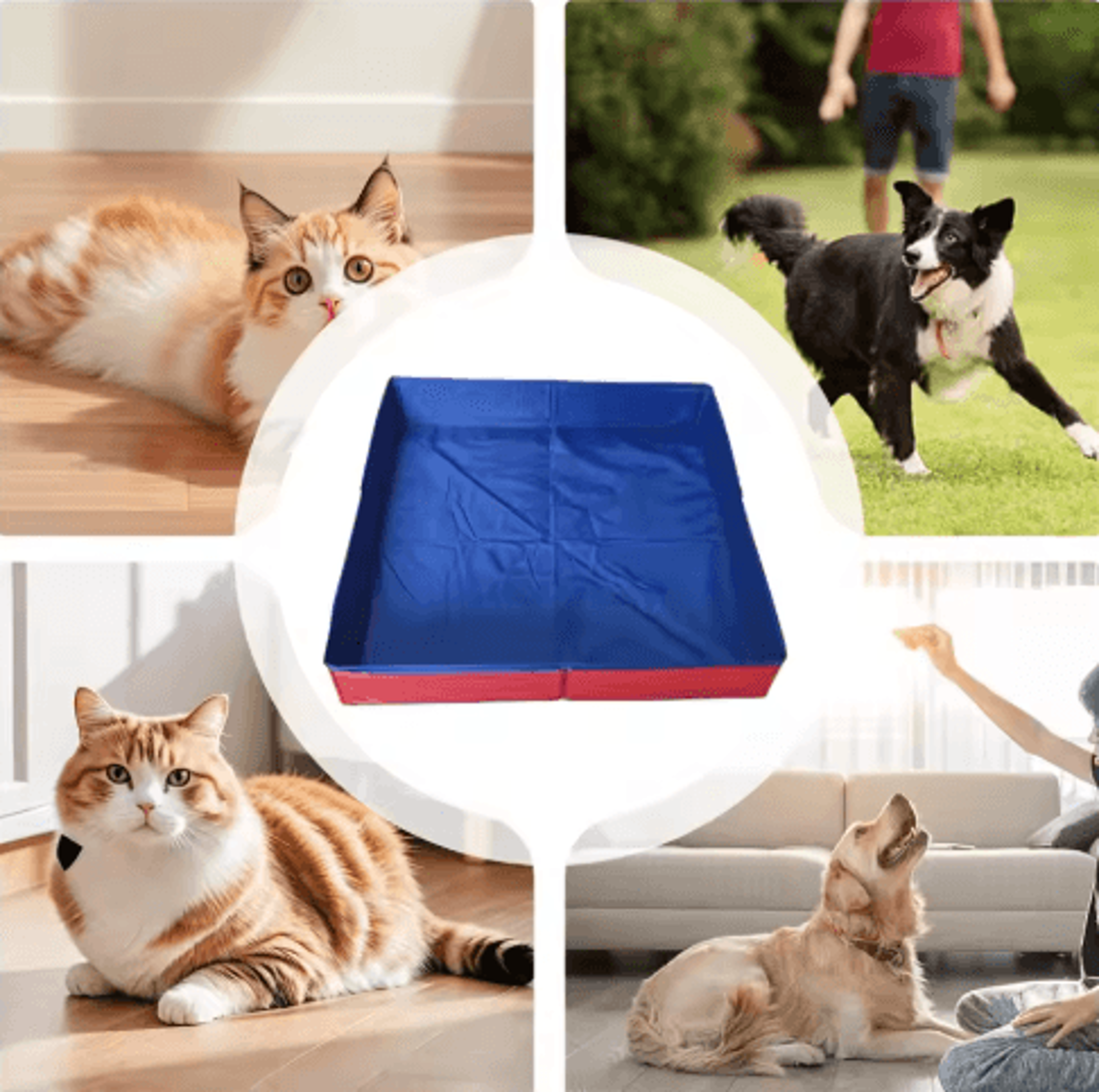 Foldable Dog Kiddie Pool  NonInflatable Pet Bathing Tub For Dogs  Cats 3