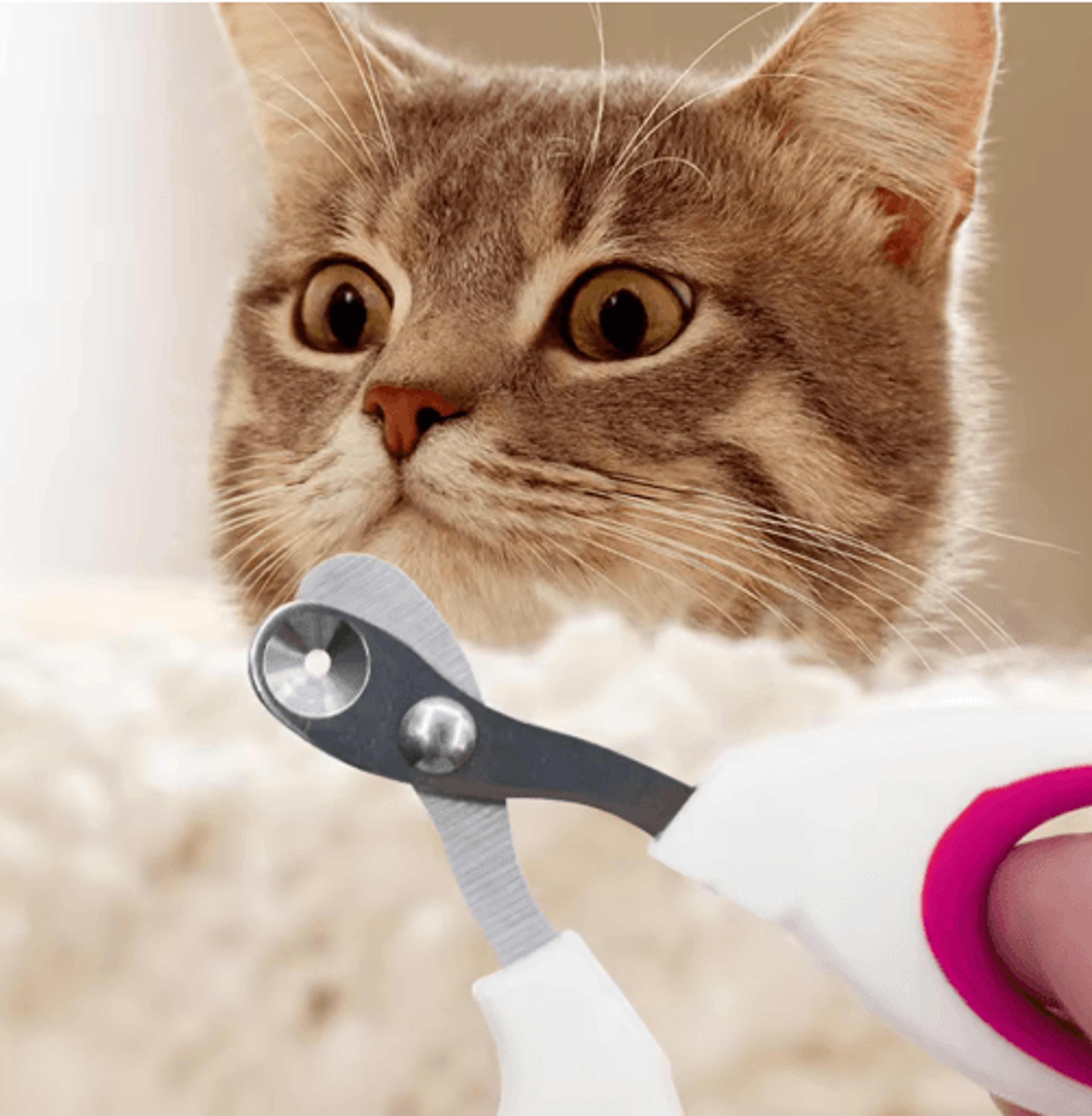 Precision Cat Nail Clippers  Safe Small Pet Nail Trimmer For Kittens  Cats 7