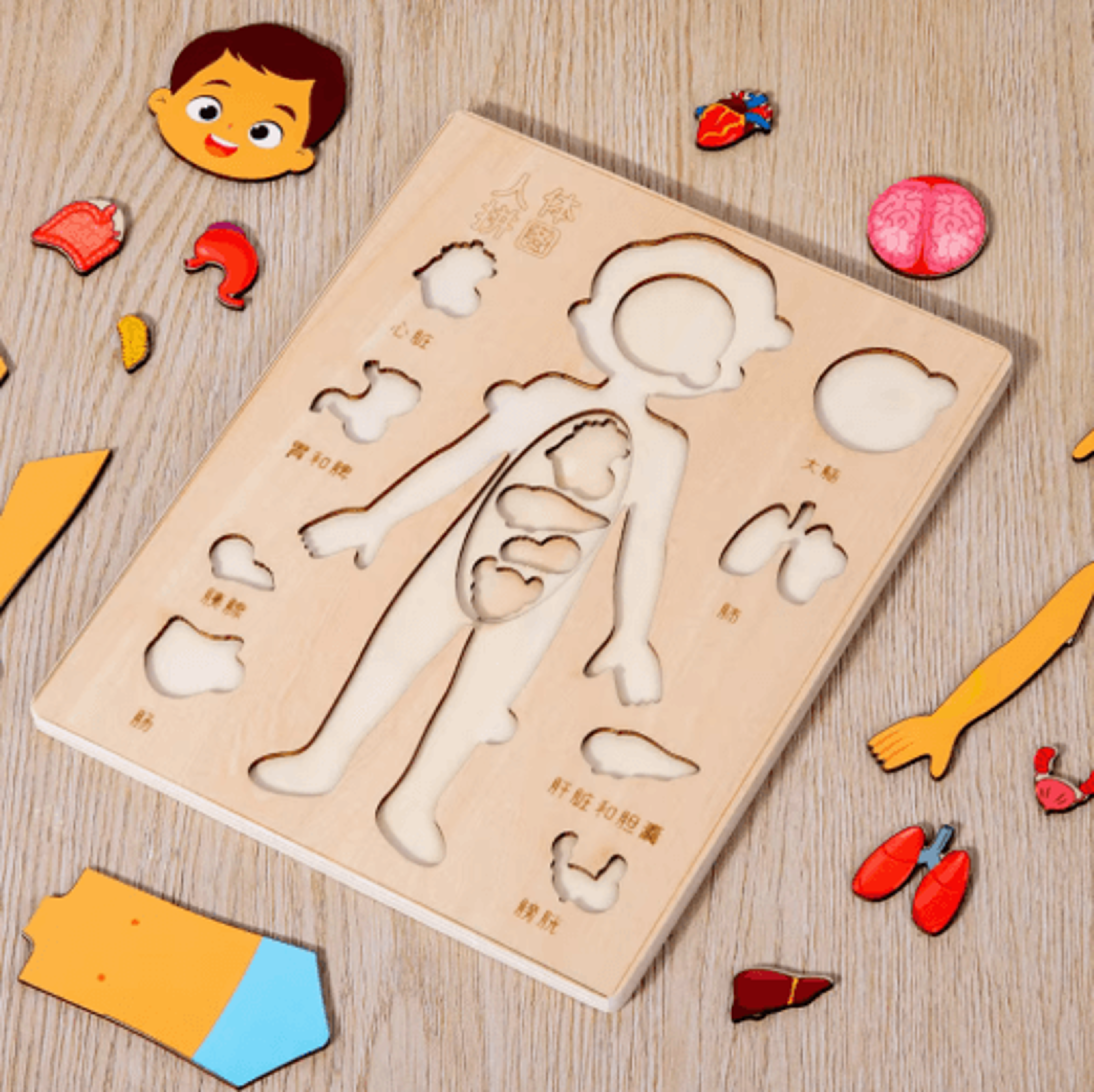 Montessori Human Body Busy Board  Educational Puzzle  Body Parts Learning Toy For Toddlers 7