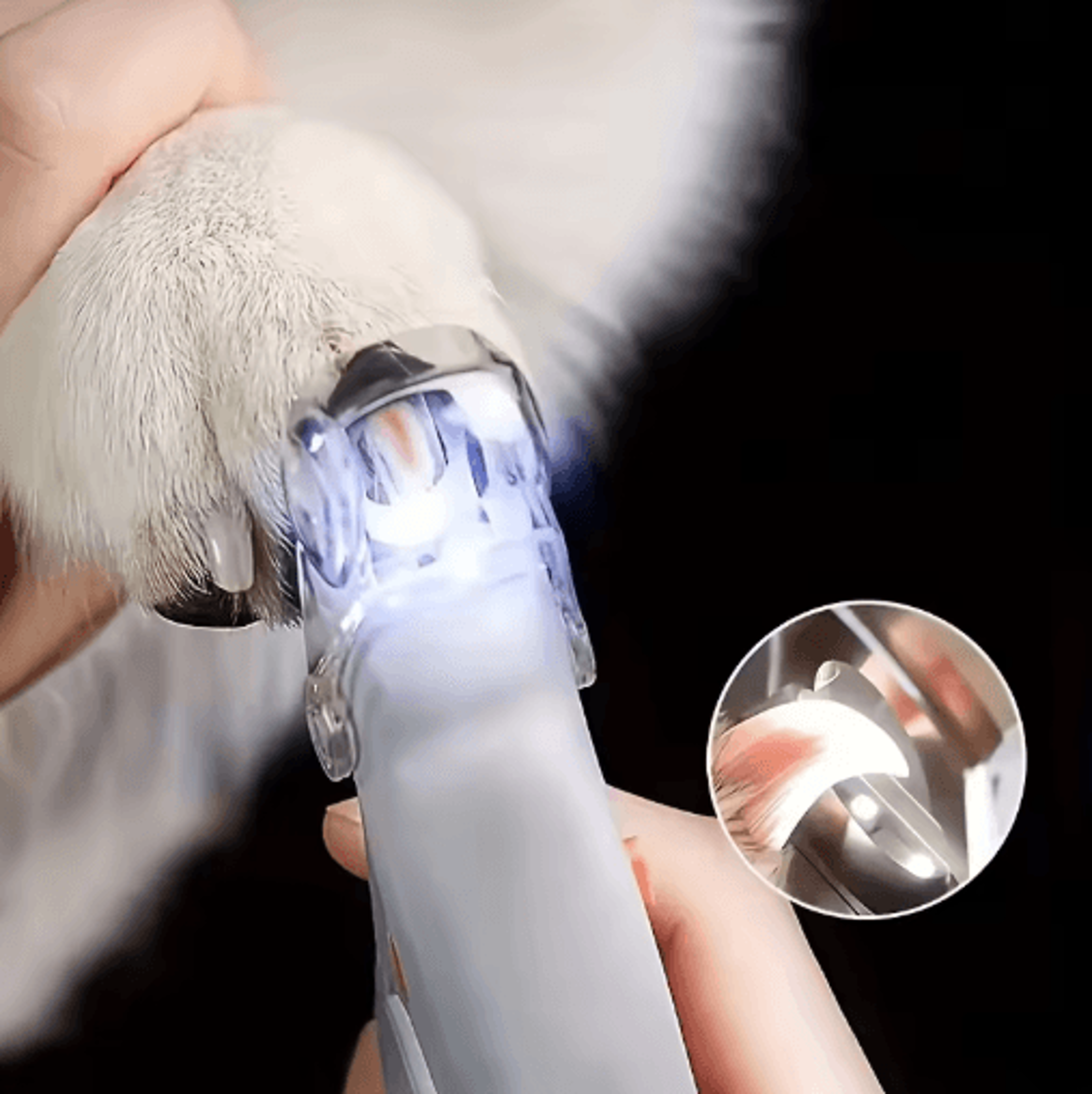 LED Pet Nail Clipper Safe  Precise Grooming Tool For Dogs  Cats 0