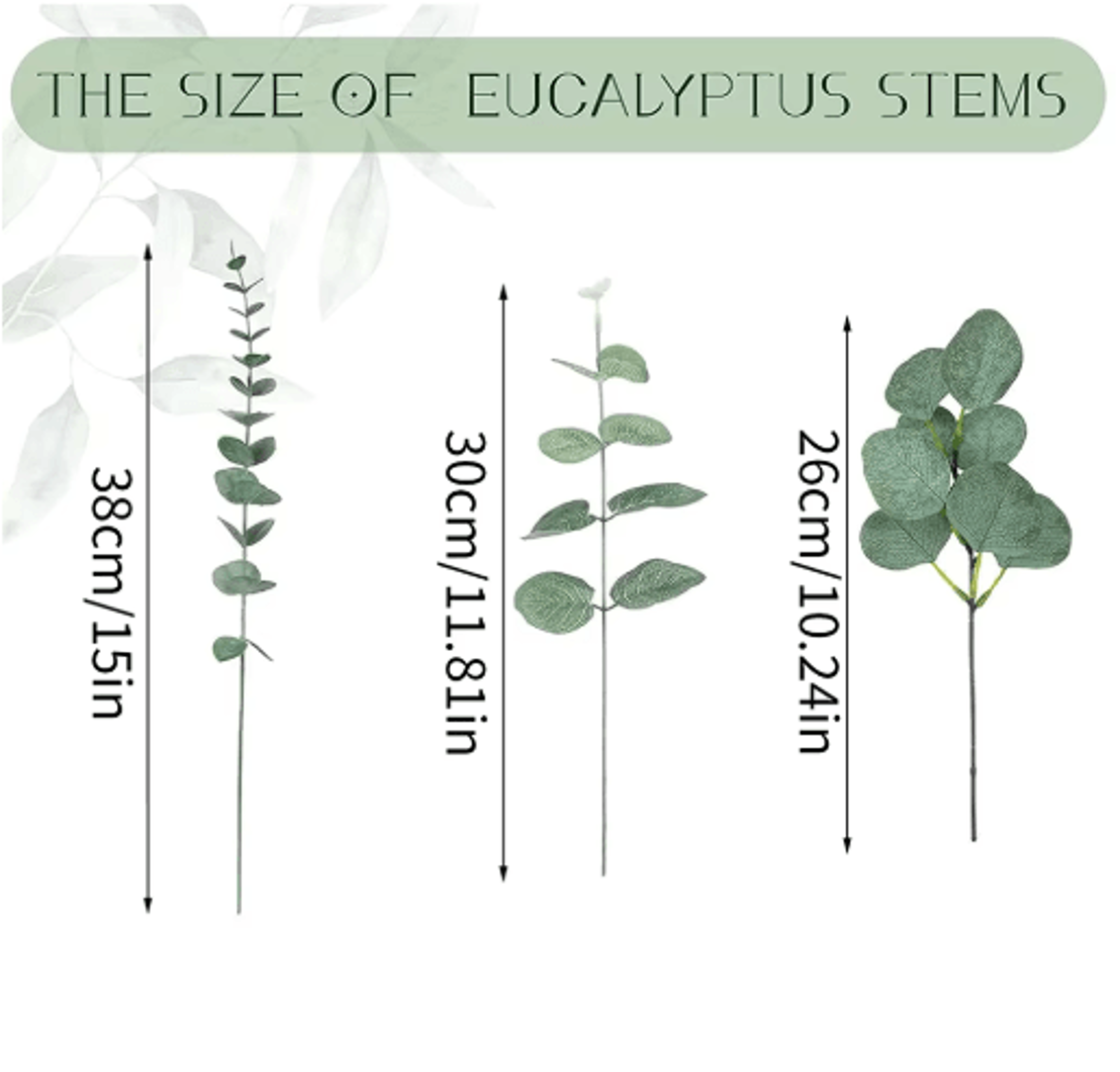 EverGreen Bulk Eucalyptus Stems Set  Mixed Silver Dollar Artificial Leaves 3060120PCS 8