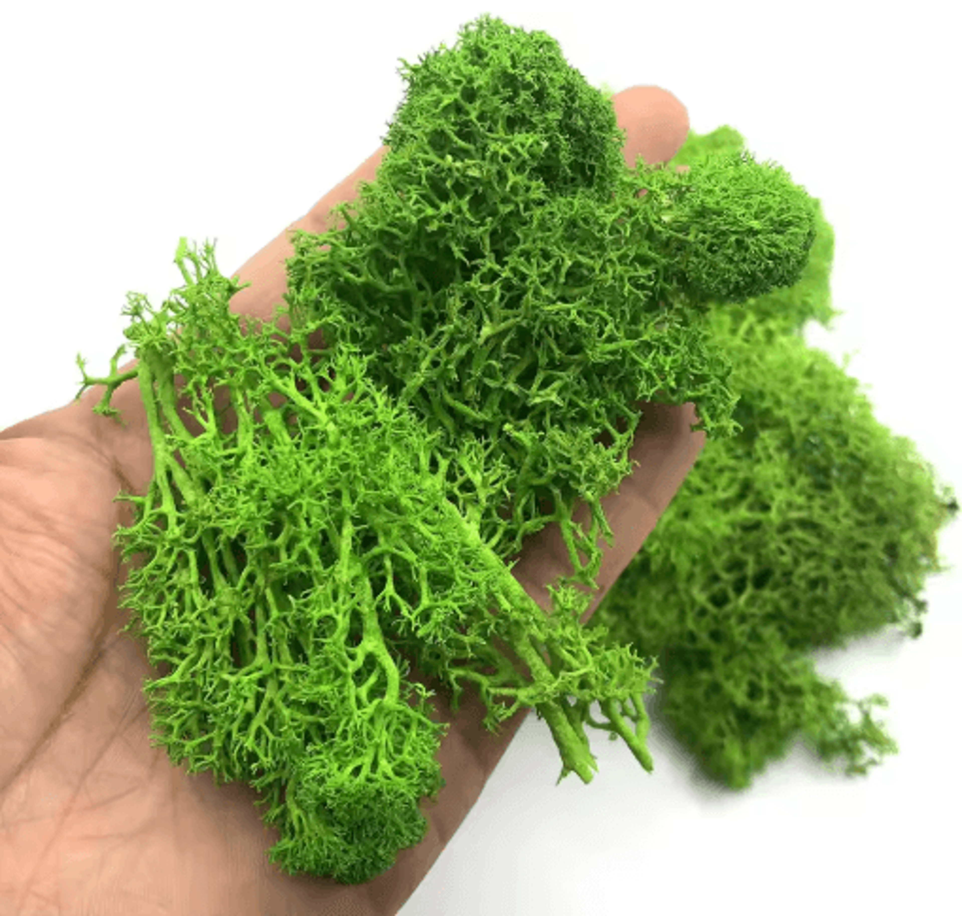 Artificial Moss Grass Decor 200g Mini Landscape Greenery For DIY  Home Styling 12