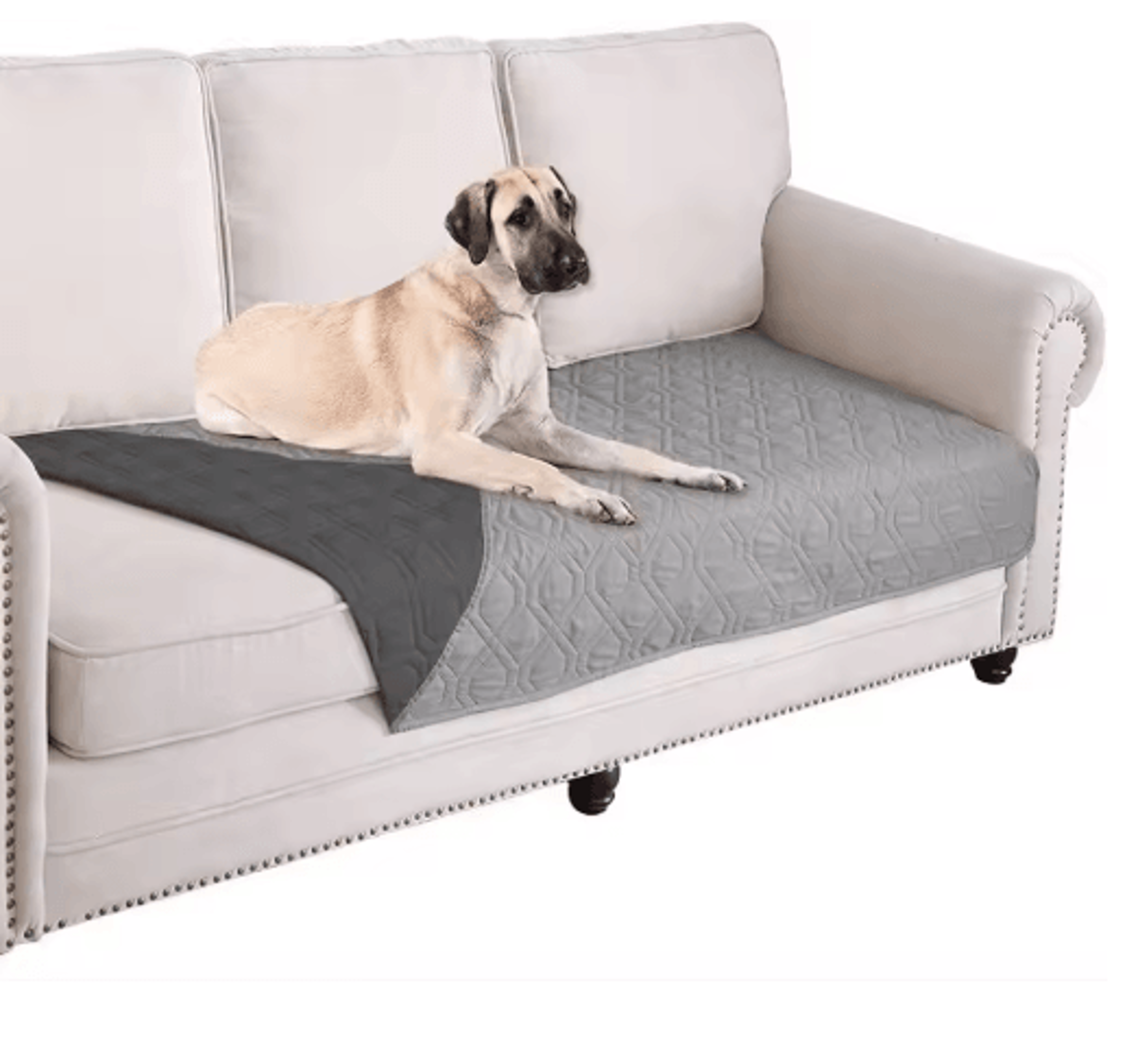 Waterproof Pet Sofa Cover  Washable Universal Couch Protector For Dogs  Kids 0