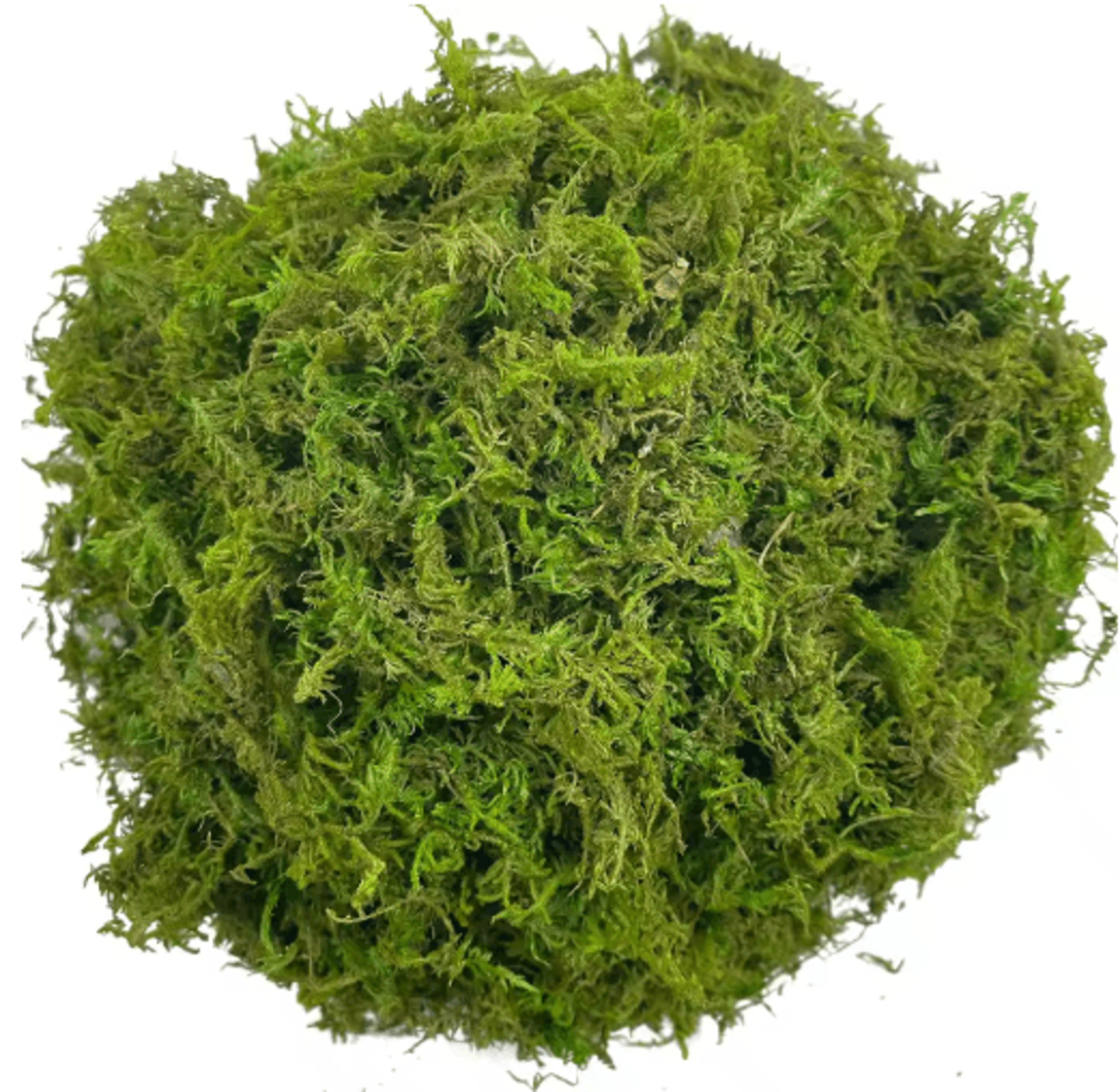 Artificial Green Moss For Plants  Crafts Decorative Orchid Potting Moss And DIY Decor Fill 7